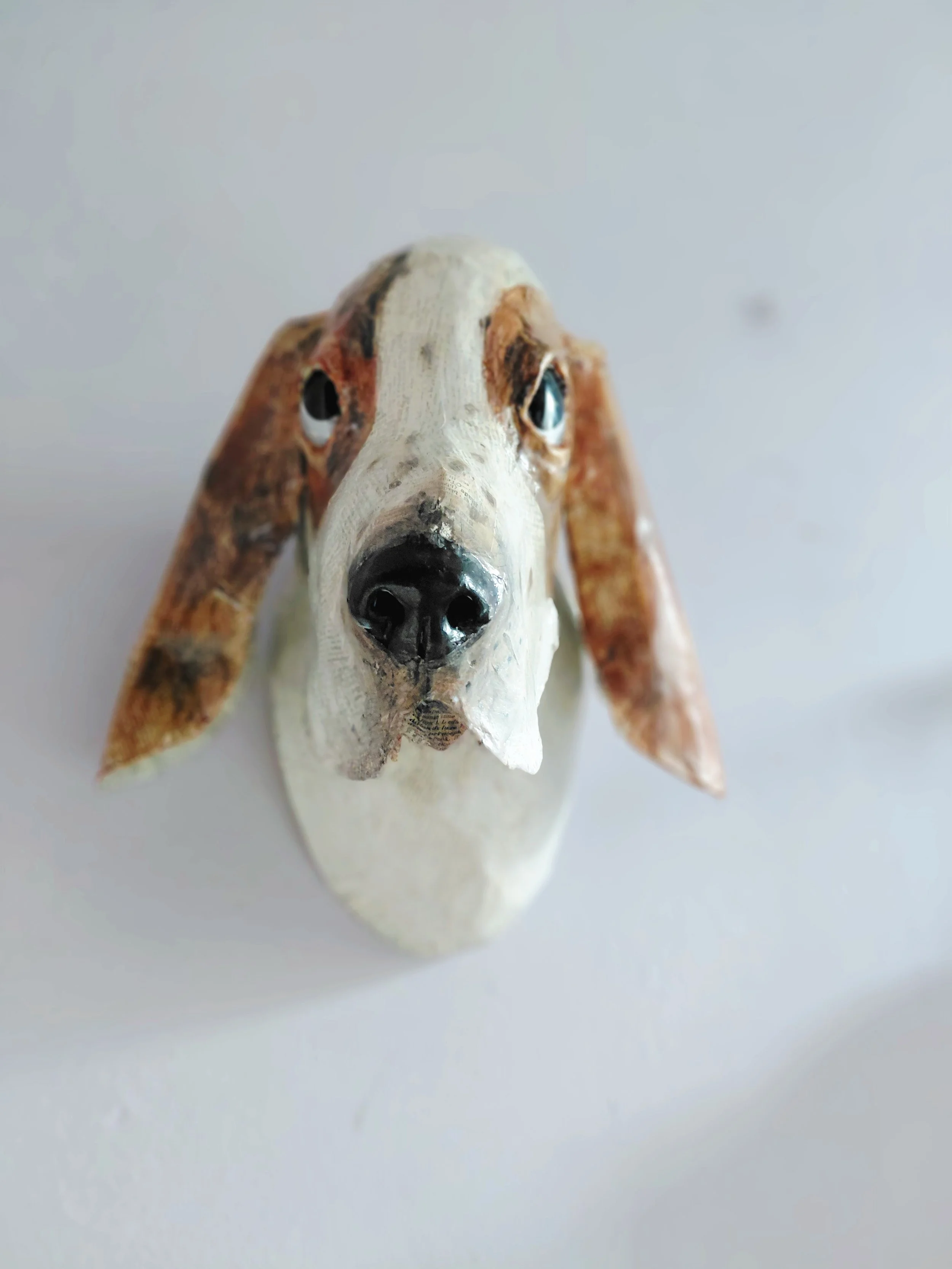 Basset Hound Head