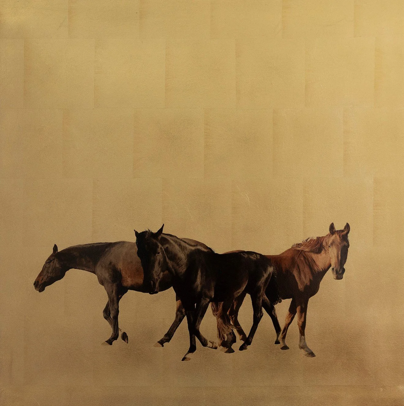 RPH92 Tres Equos 80x80cm £920.jpg
