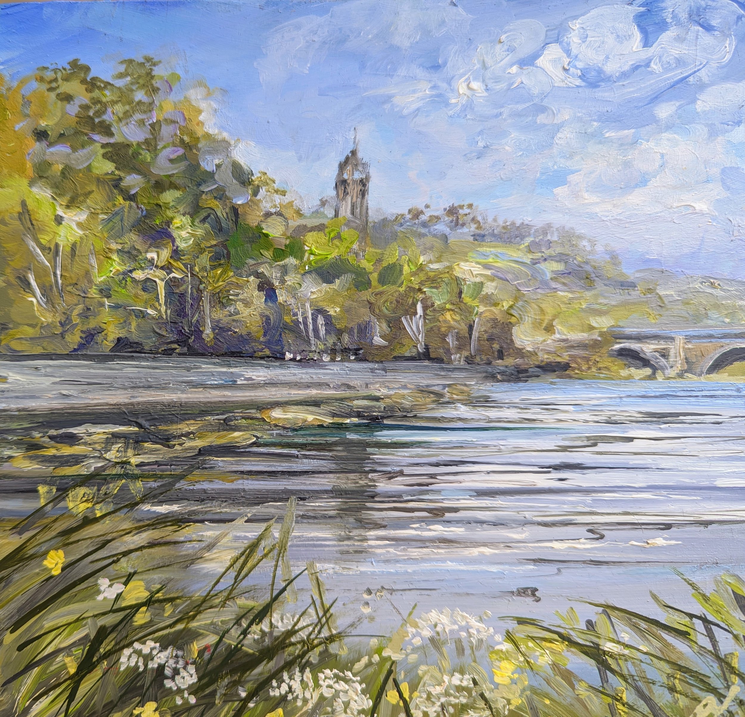AY41 Wildlowers The Tweed.jpg