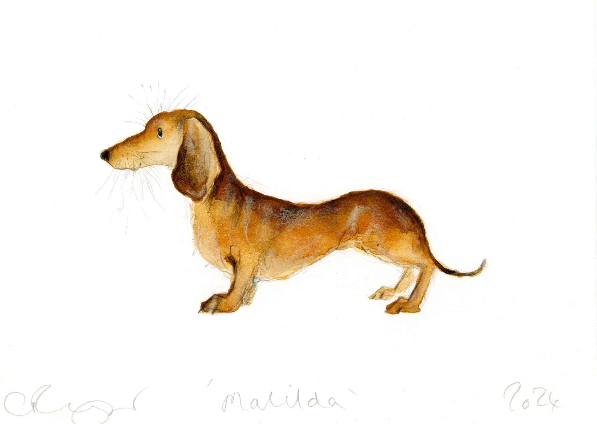 CRIP MATILDA HIGH RES.jpg