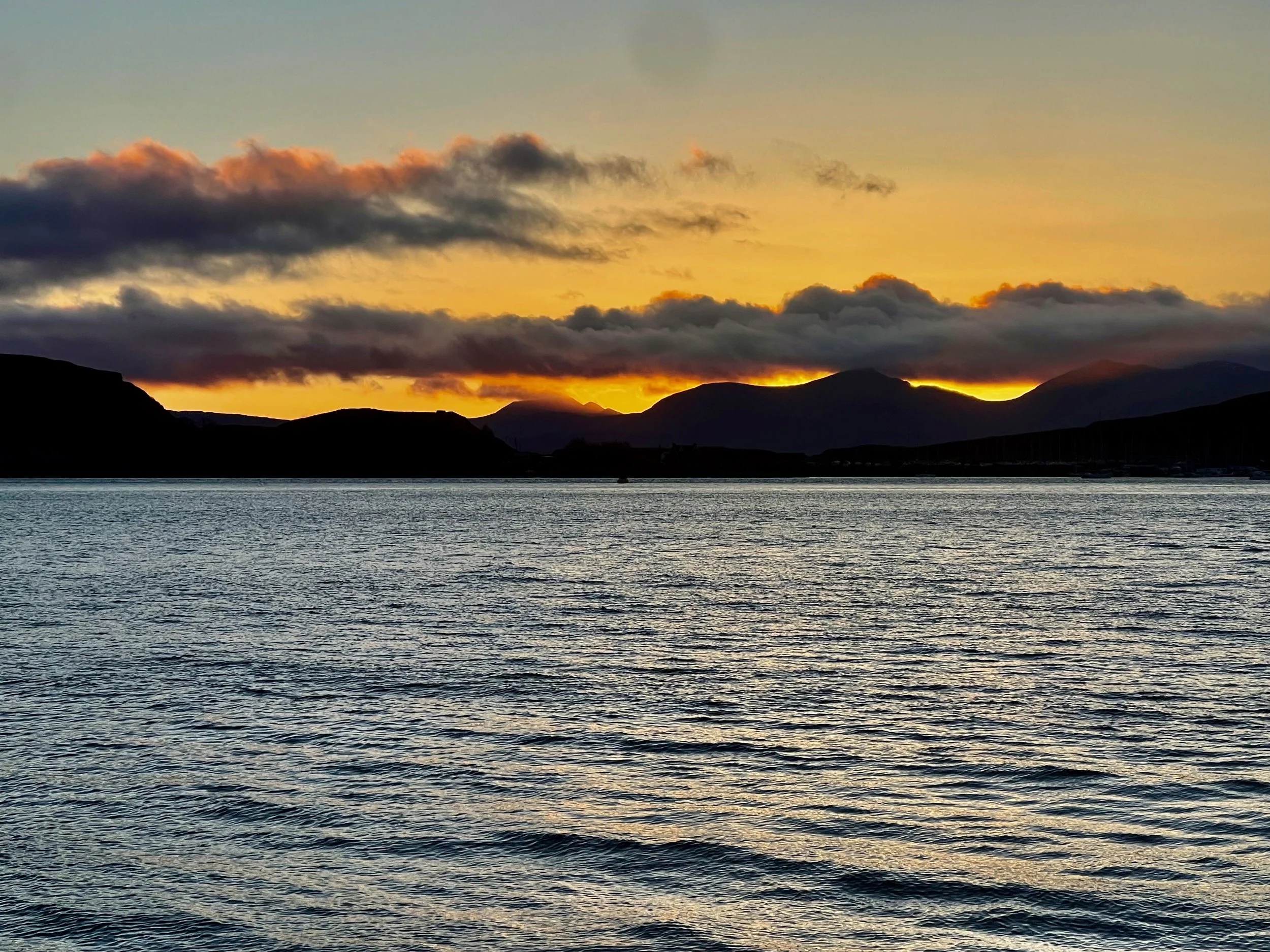 Library - 154 of 158.jpeg