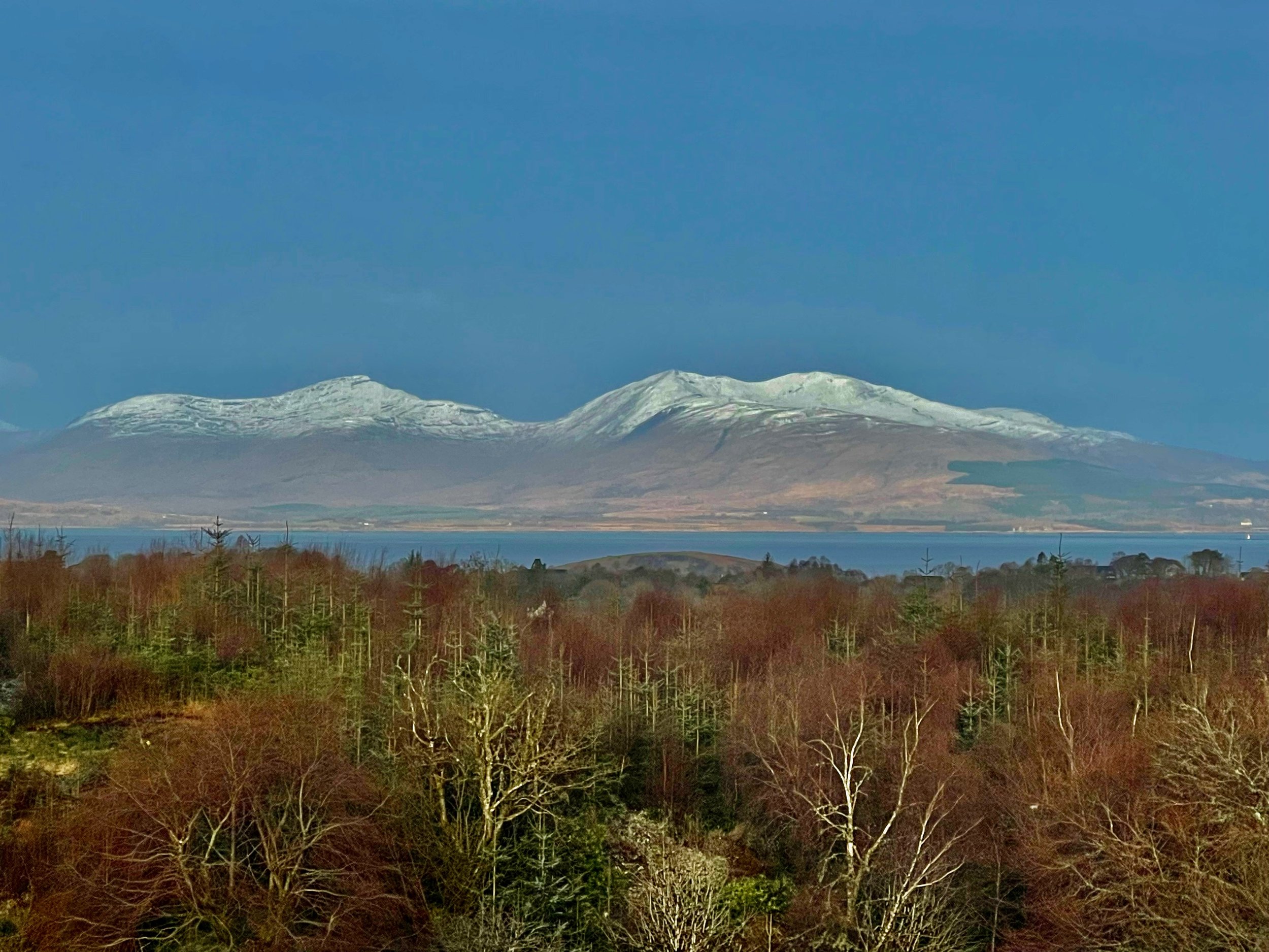 Library - 34 of 158.jpeg