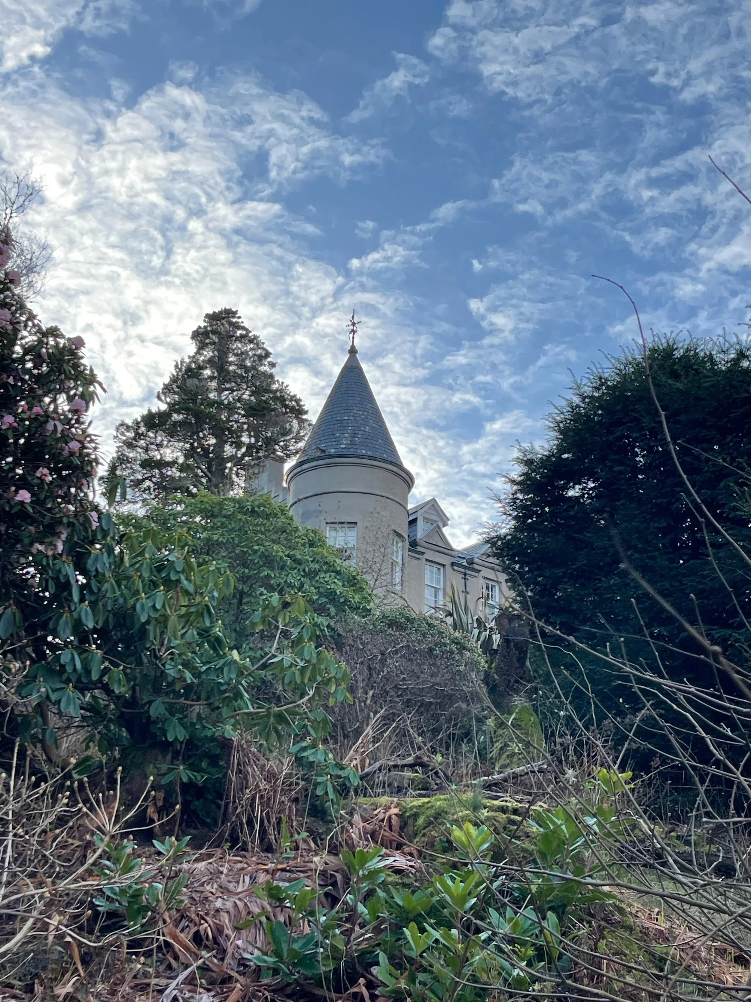 Library - 36 of 158.jpeg