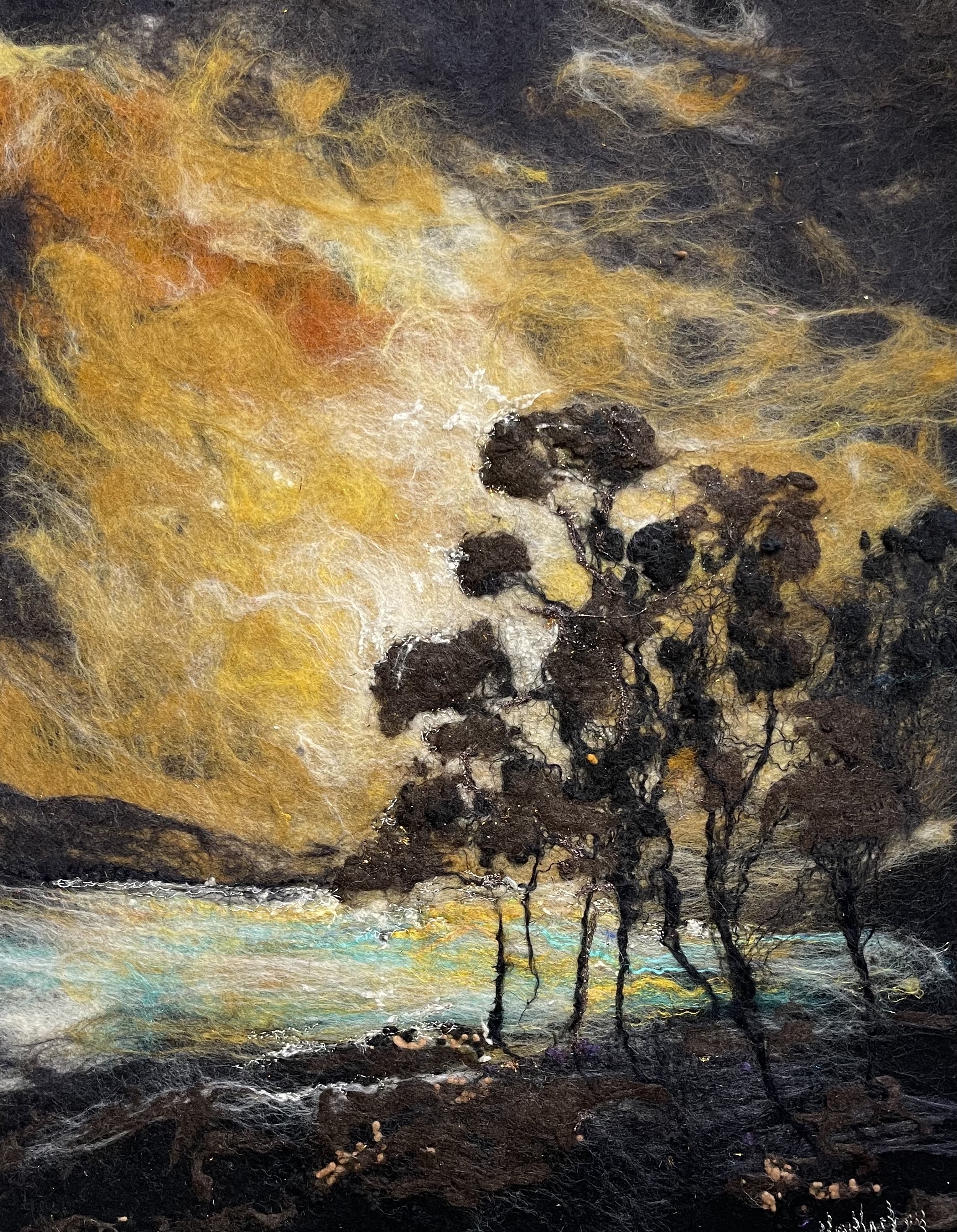 MM2389 SCOTS PINE, SUNDOWN .jpg