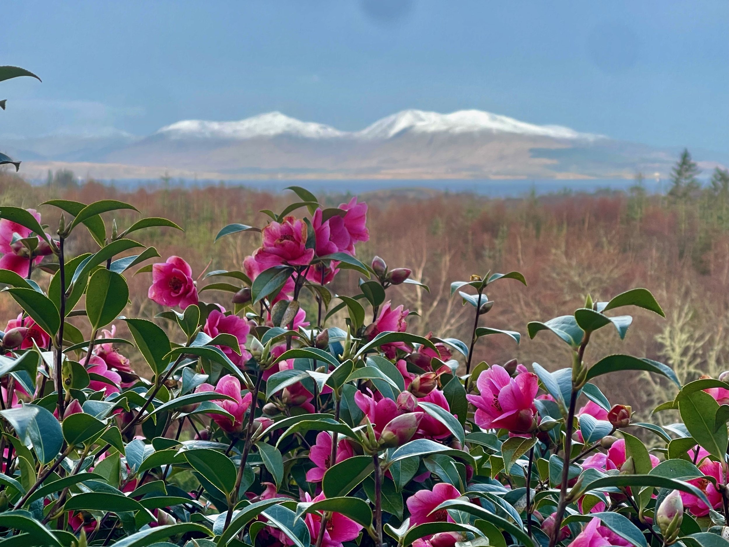 Library - 35 of 158.jpeg