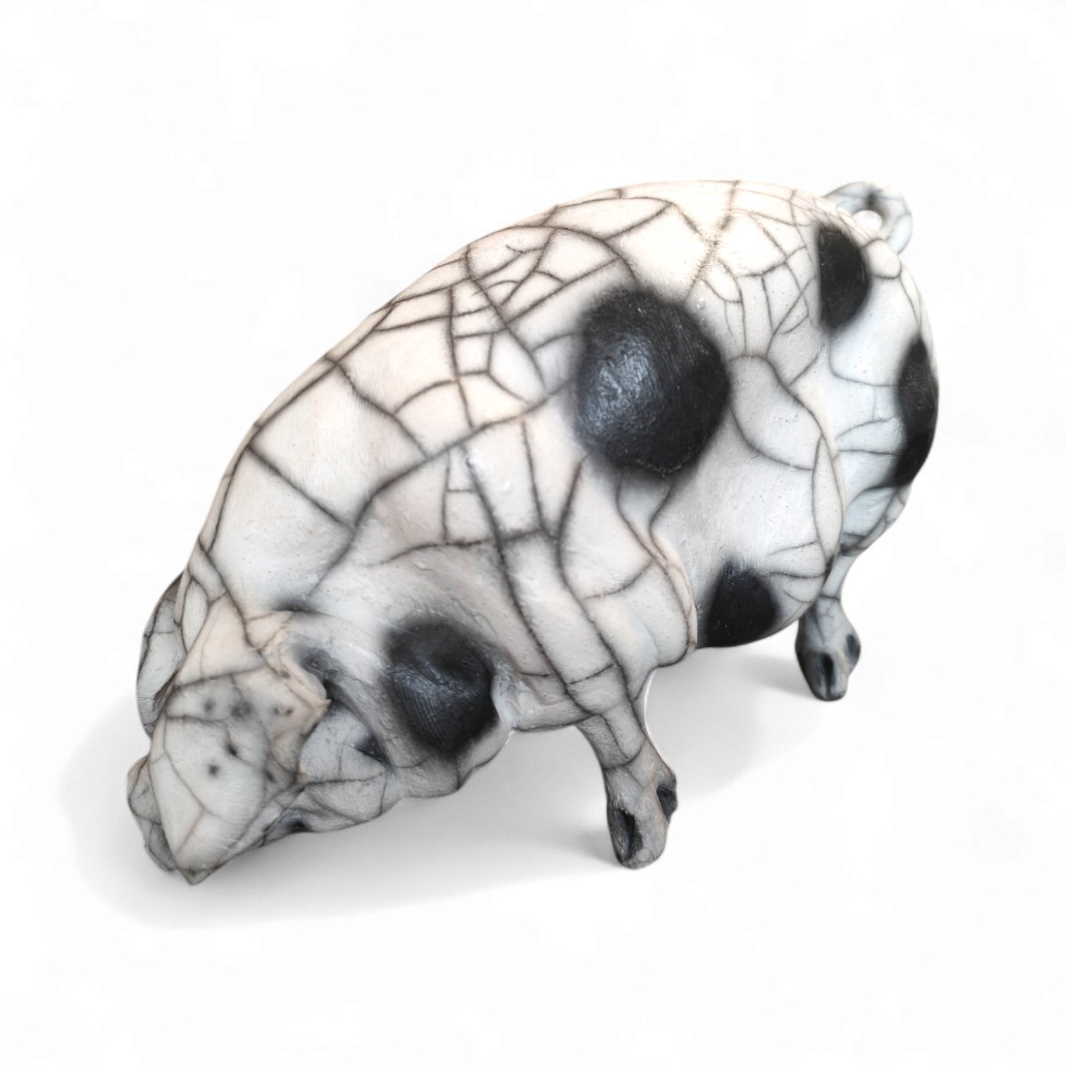 Sitting Spotted Pig