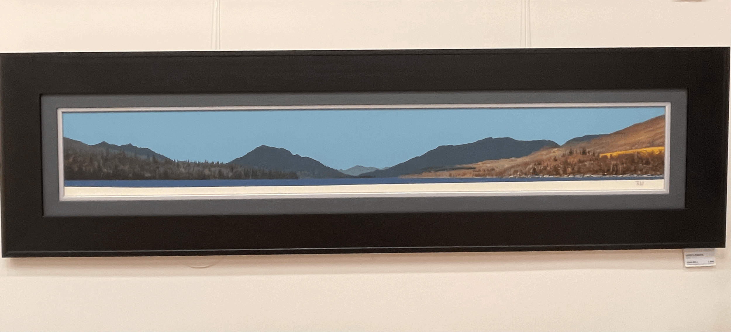 tempImagefi3oVN.gif