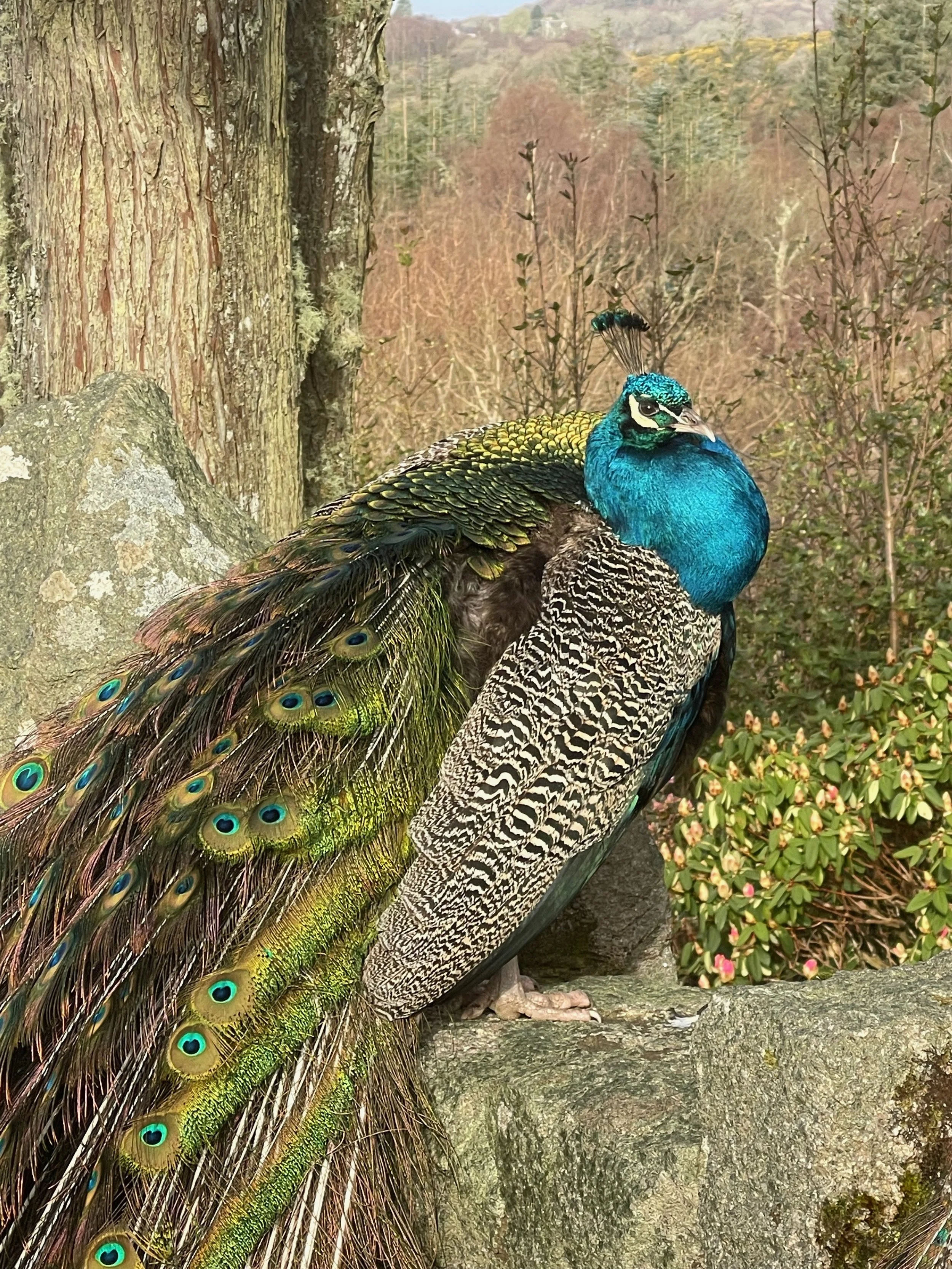 Library - 40 of 158.jpeg