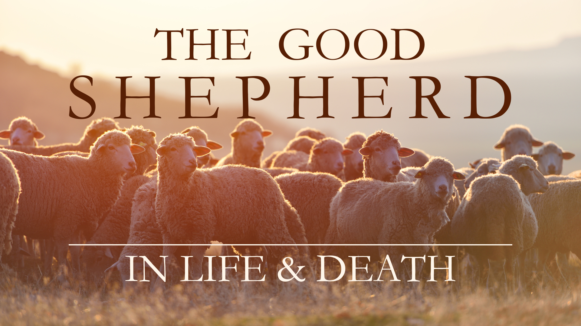 Jesus, the Good Shepherd in Life and Death