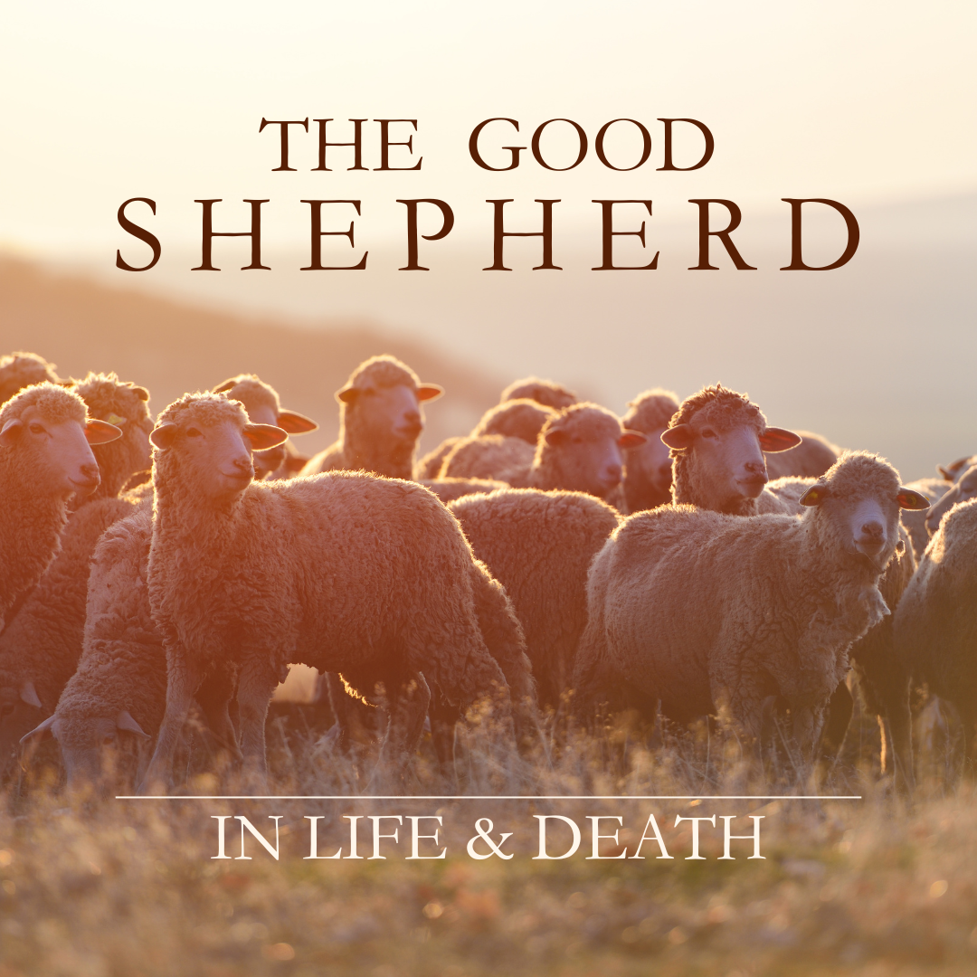 Good Shepherd Sermon Series