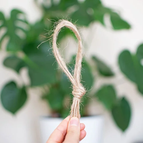 Easy Rope Plant Hanger Tutorial (5 Simple Steps for Beginners)  That Knot  Place