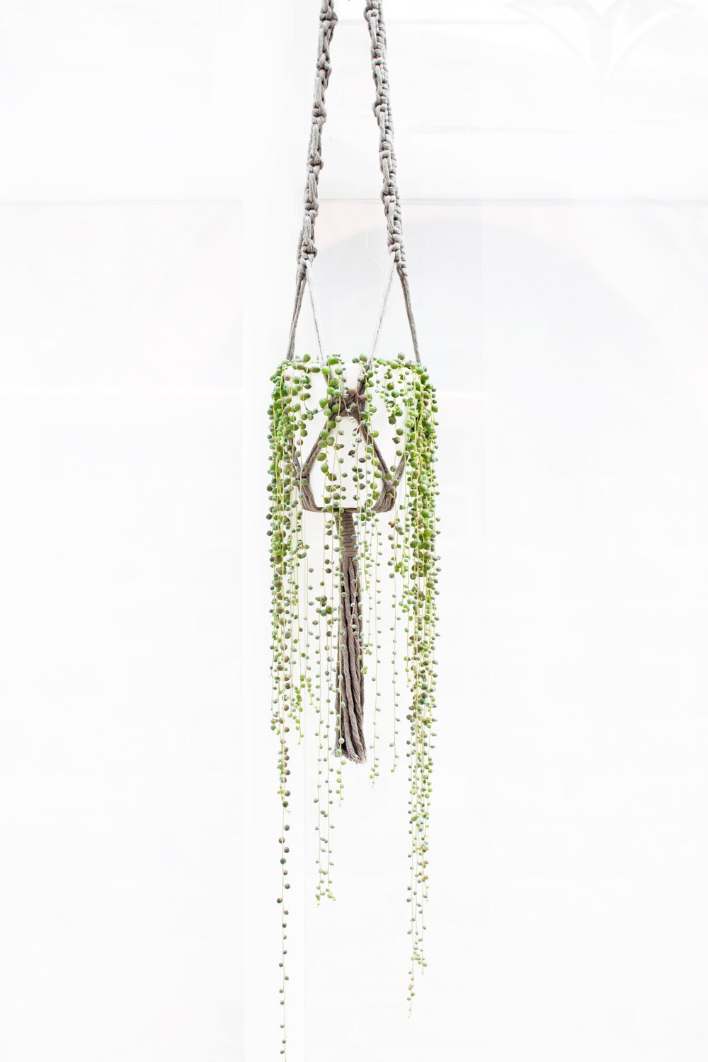 string-of-pearls-in-grey-macrame-plant-hanger.jpg