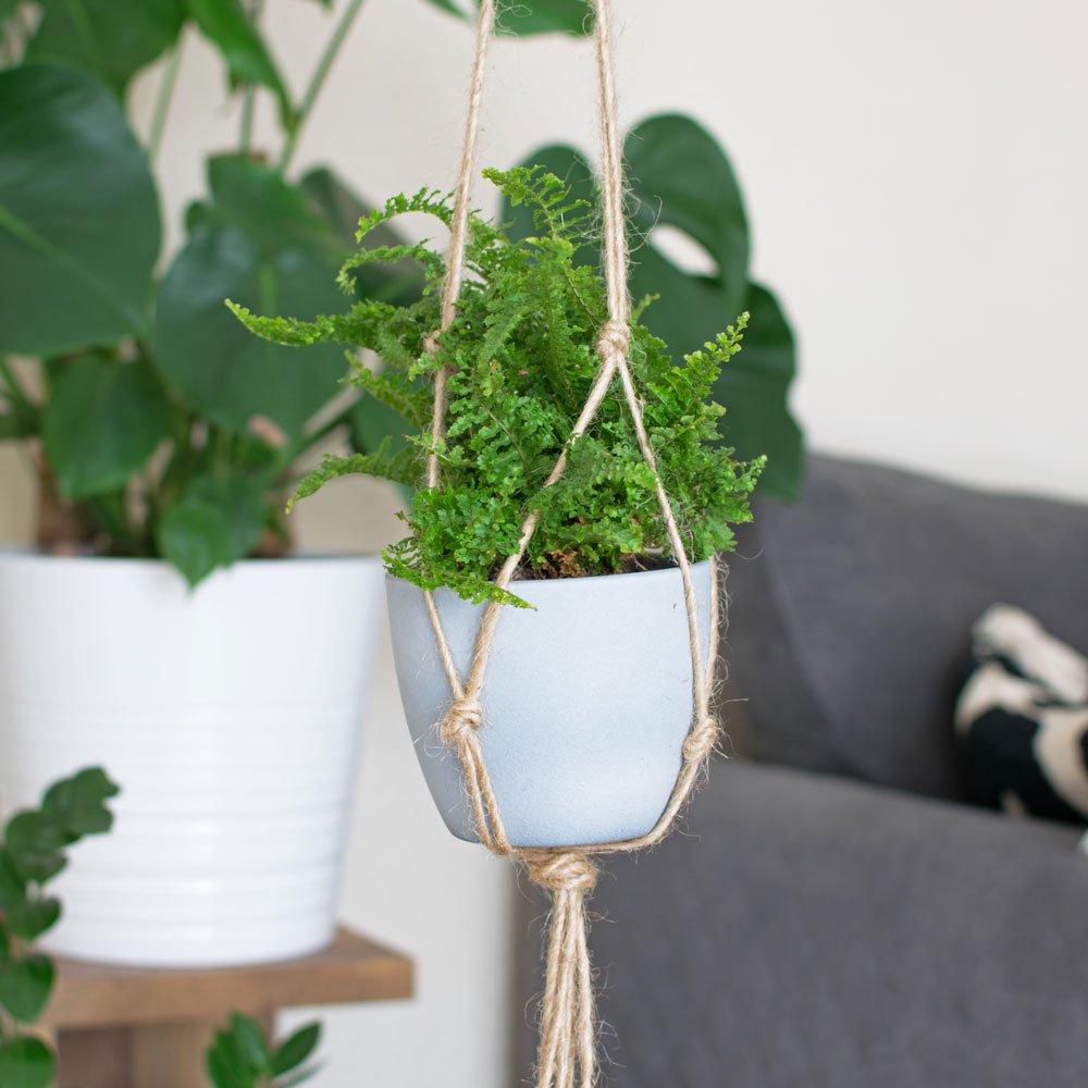 That DIY Make How Place Tutorial Knot - Rope Hanger to a — Plant