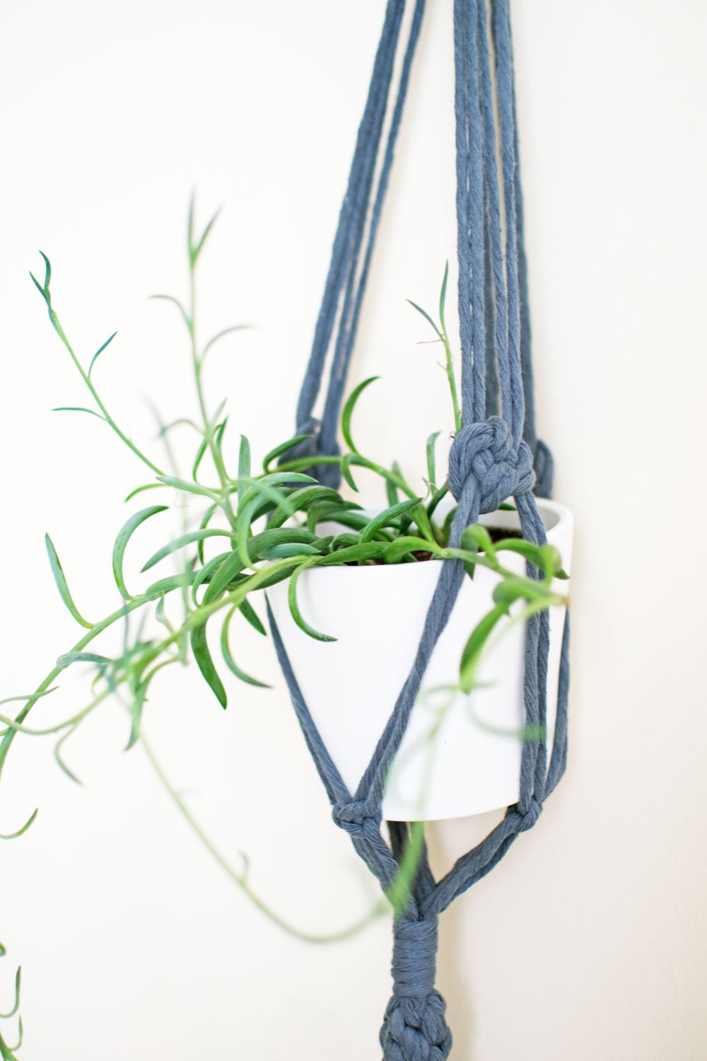 string-of-bananas-in-blue-grey-plant-hanger.jpg