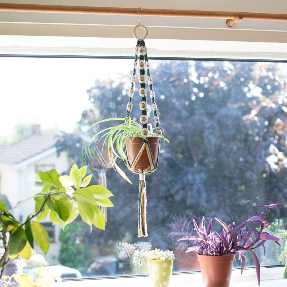 daisy-chain-macrame-plant-hanger-with-spider-plant.jpg
