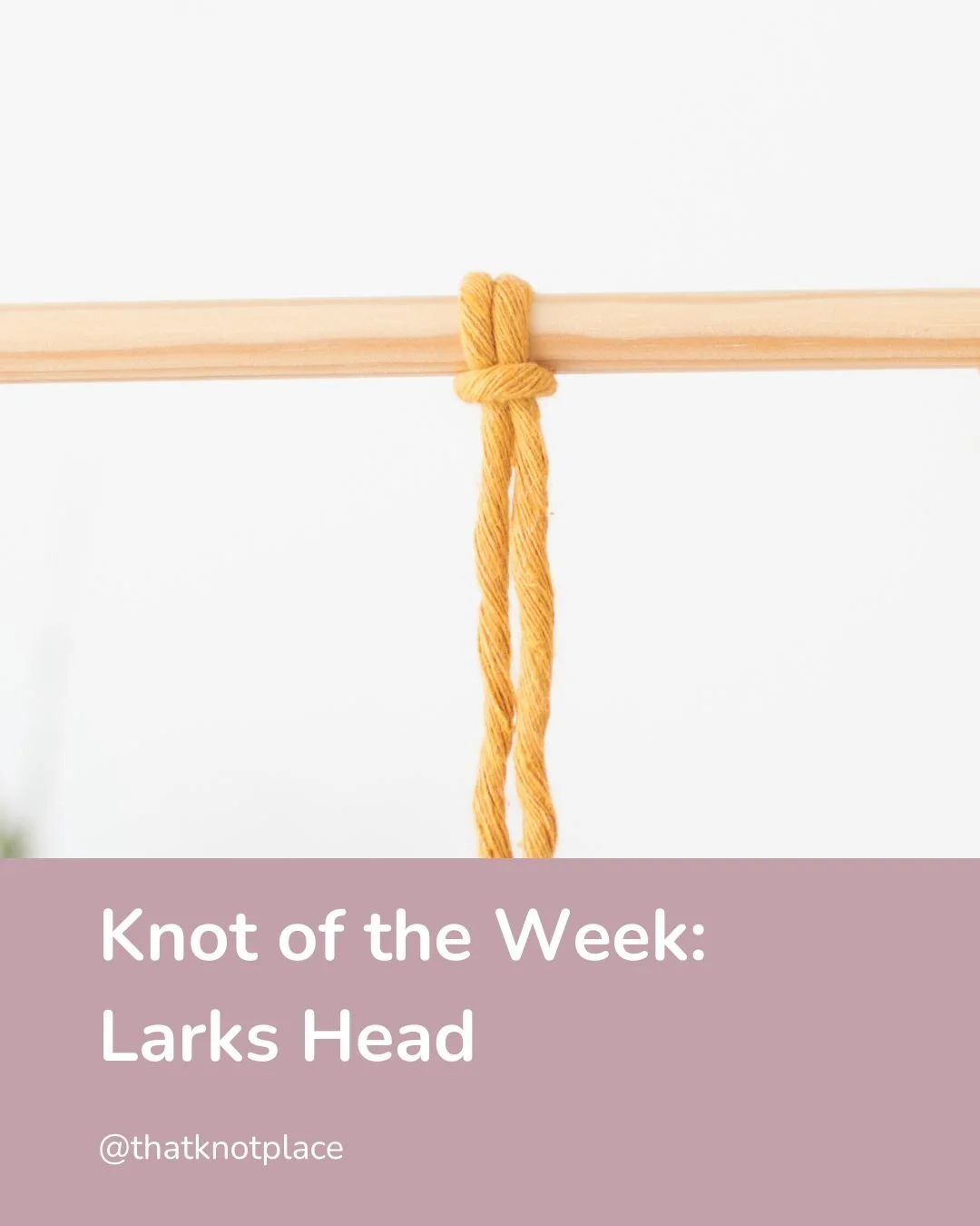 New to macrame? Start with this knot...

It's the perfect starter knot for any wall hanging as it's simple yet allows a solid foundation for your base layer.

Tag a friend in the comments who is just starting this craft 👇

#larksheadknot #macramekno