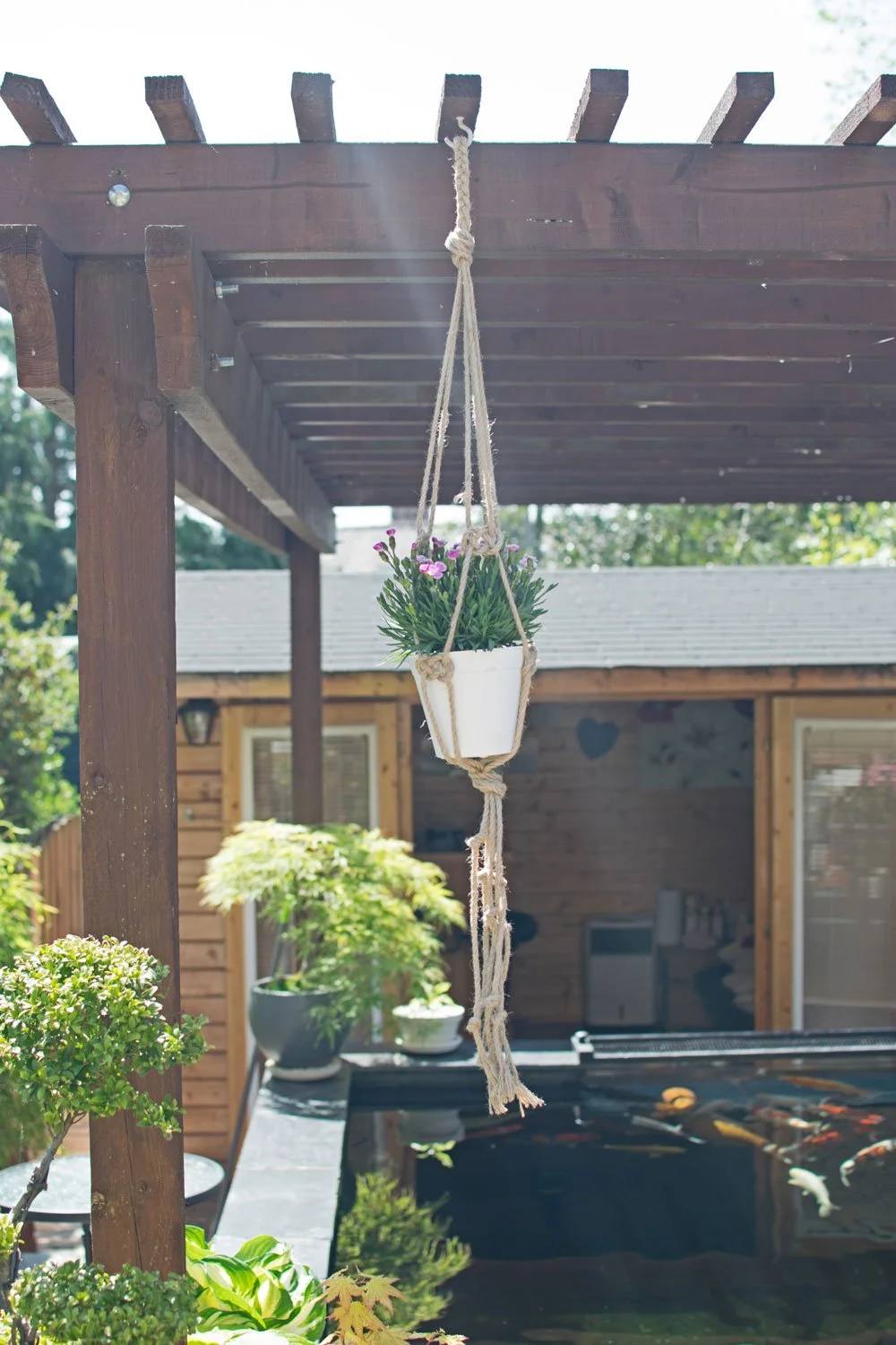 jute-plant-hanger-on-pergola.jpg