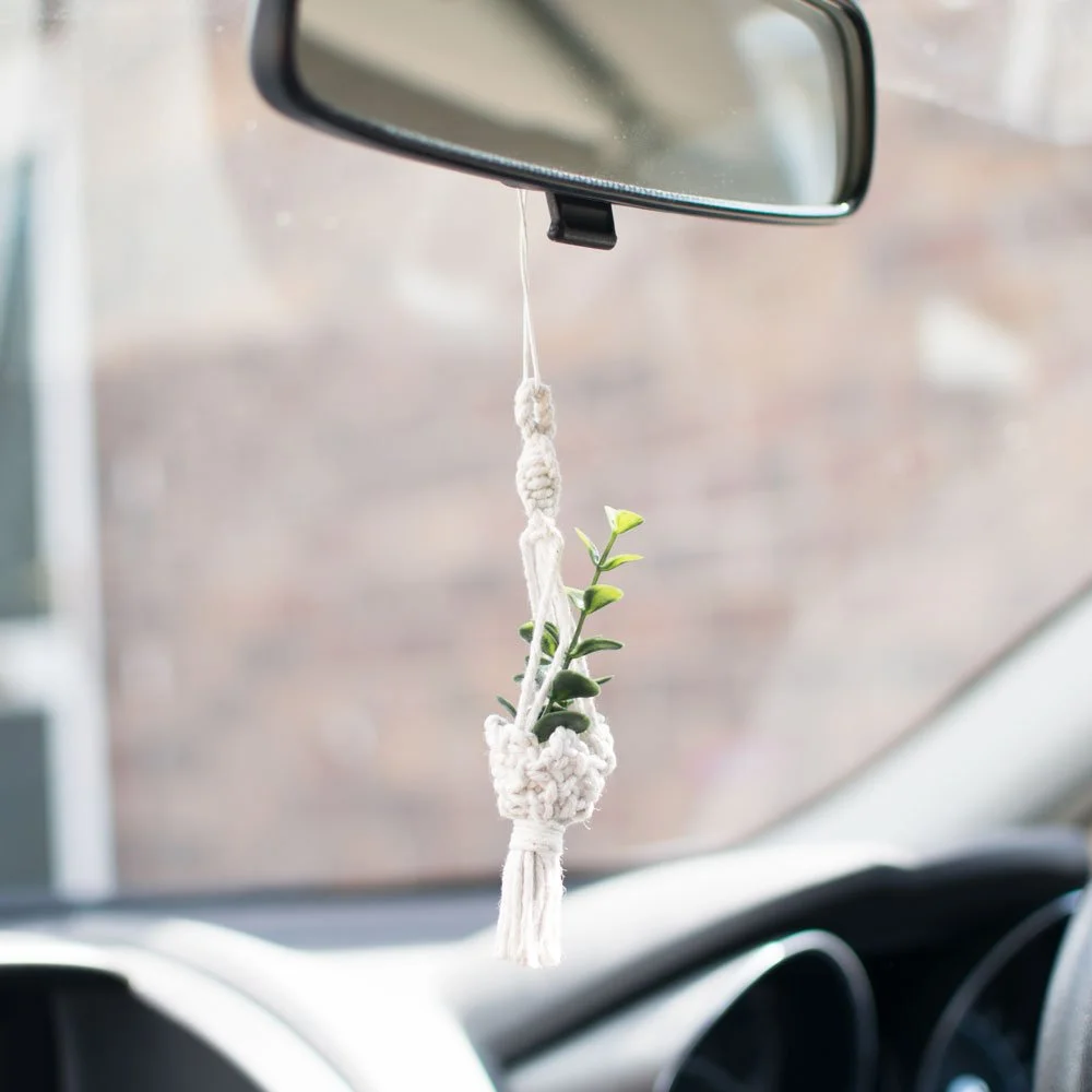 mini macrame plant hanger on rearview mirror