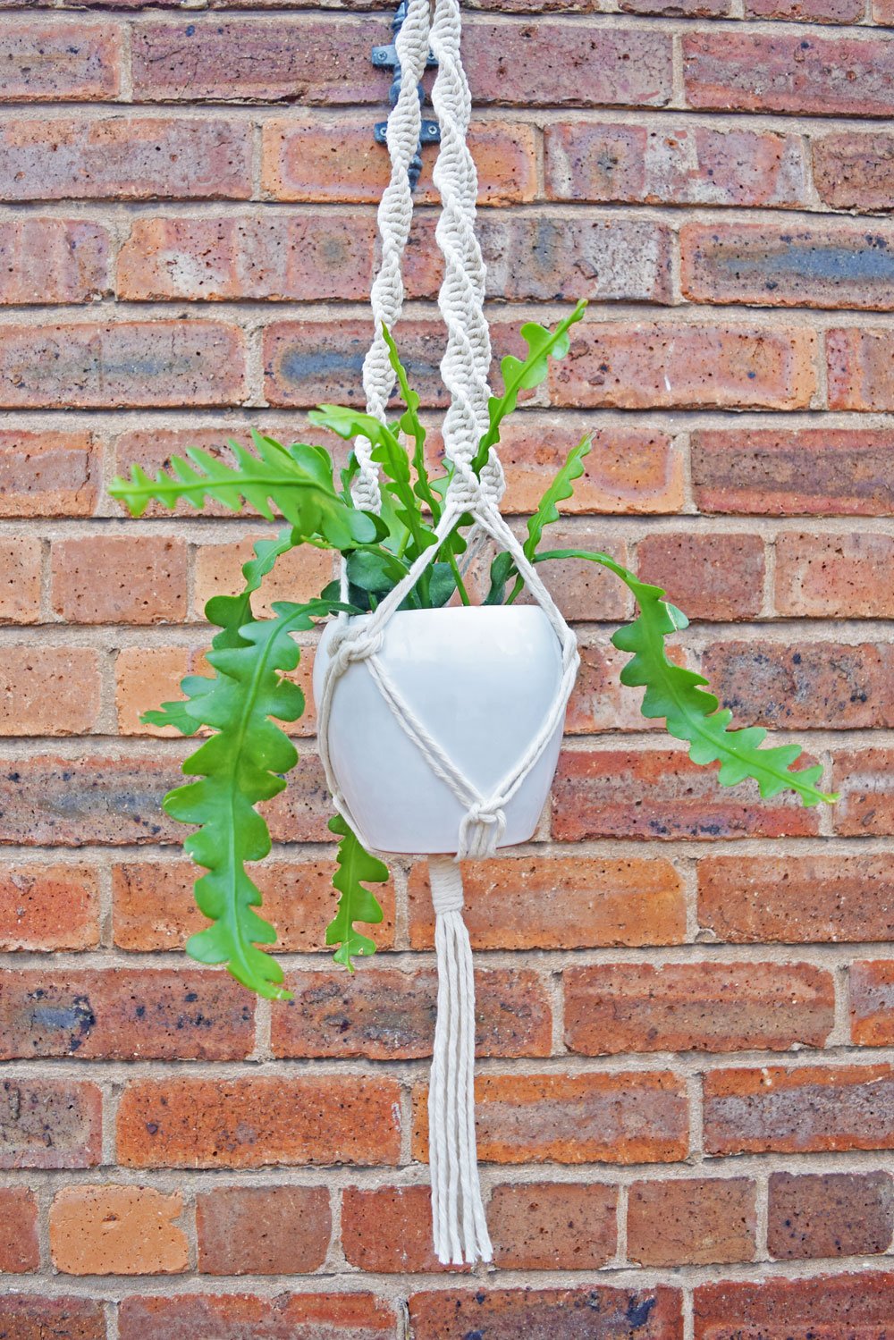 spiral macrame plant hanger