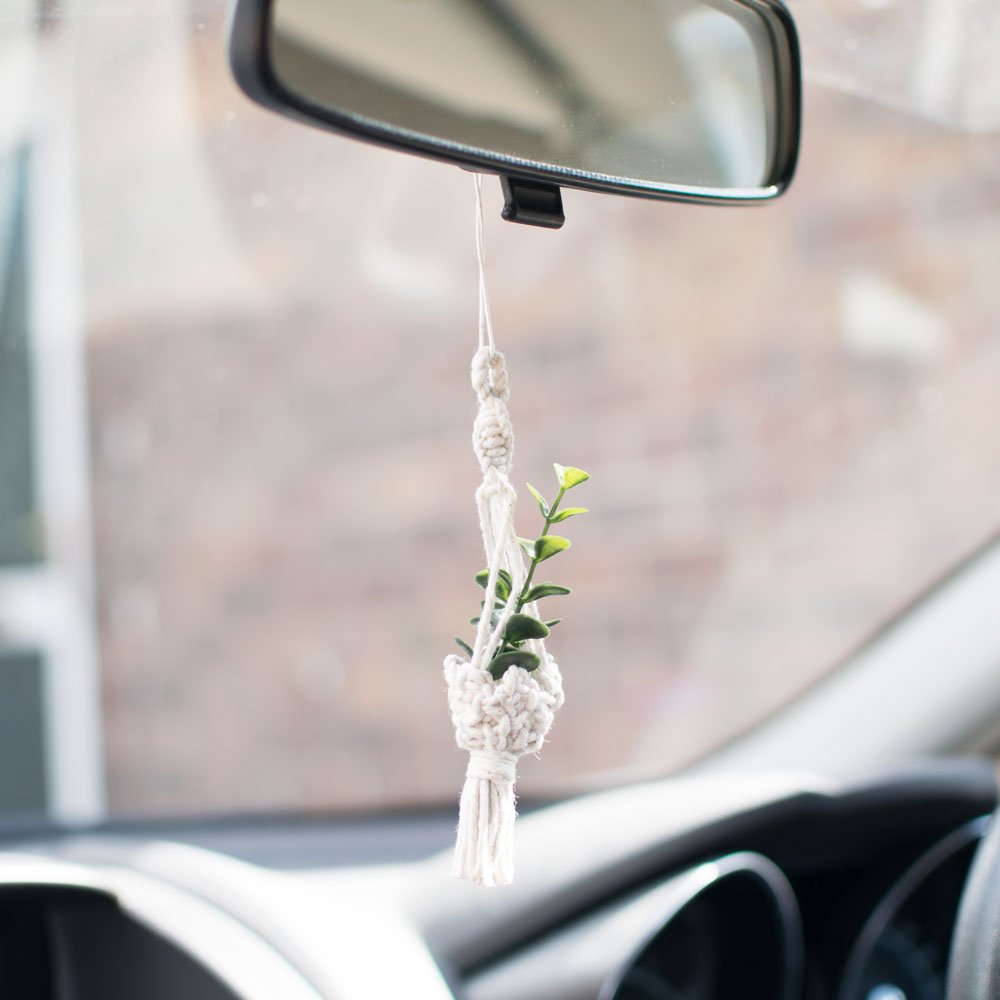 plant-hanger-car-chamr.jpg
