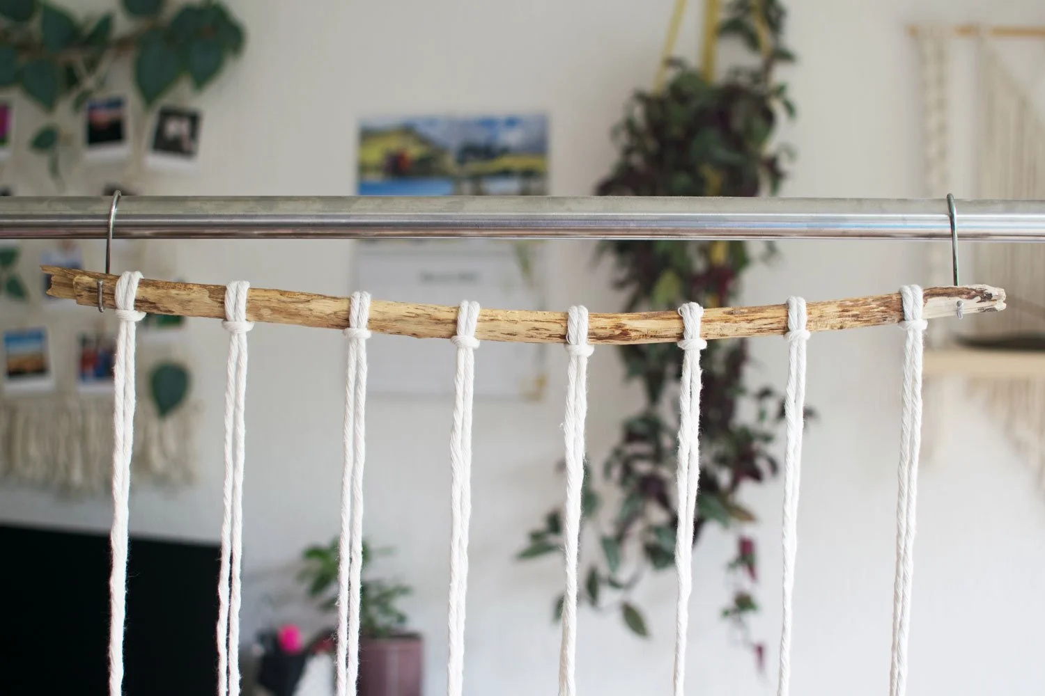 macrame cord on driftwood