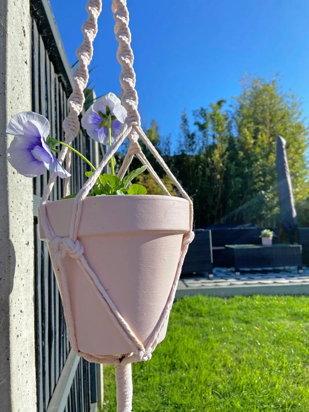 pink flower hanging in the garden in a macrame plant hanger