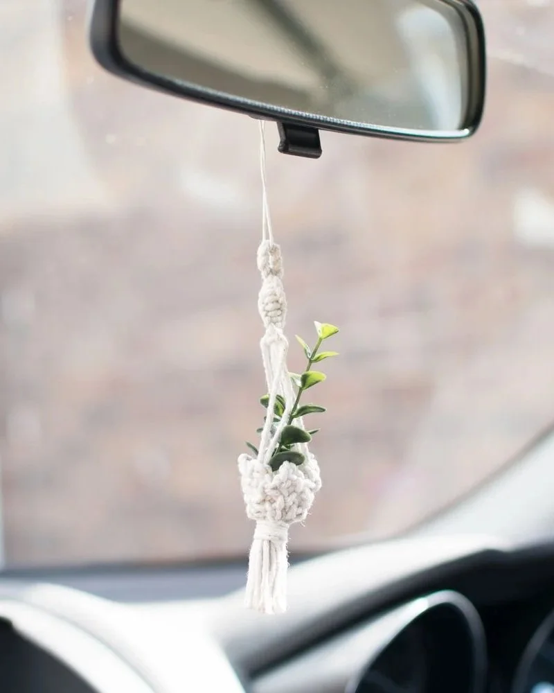 plant-hanger-car-chamr.jpg
