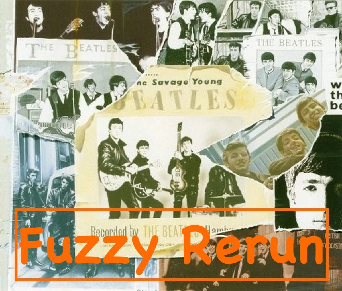 Planned Fuzzy Rerun