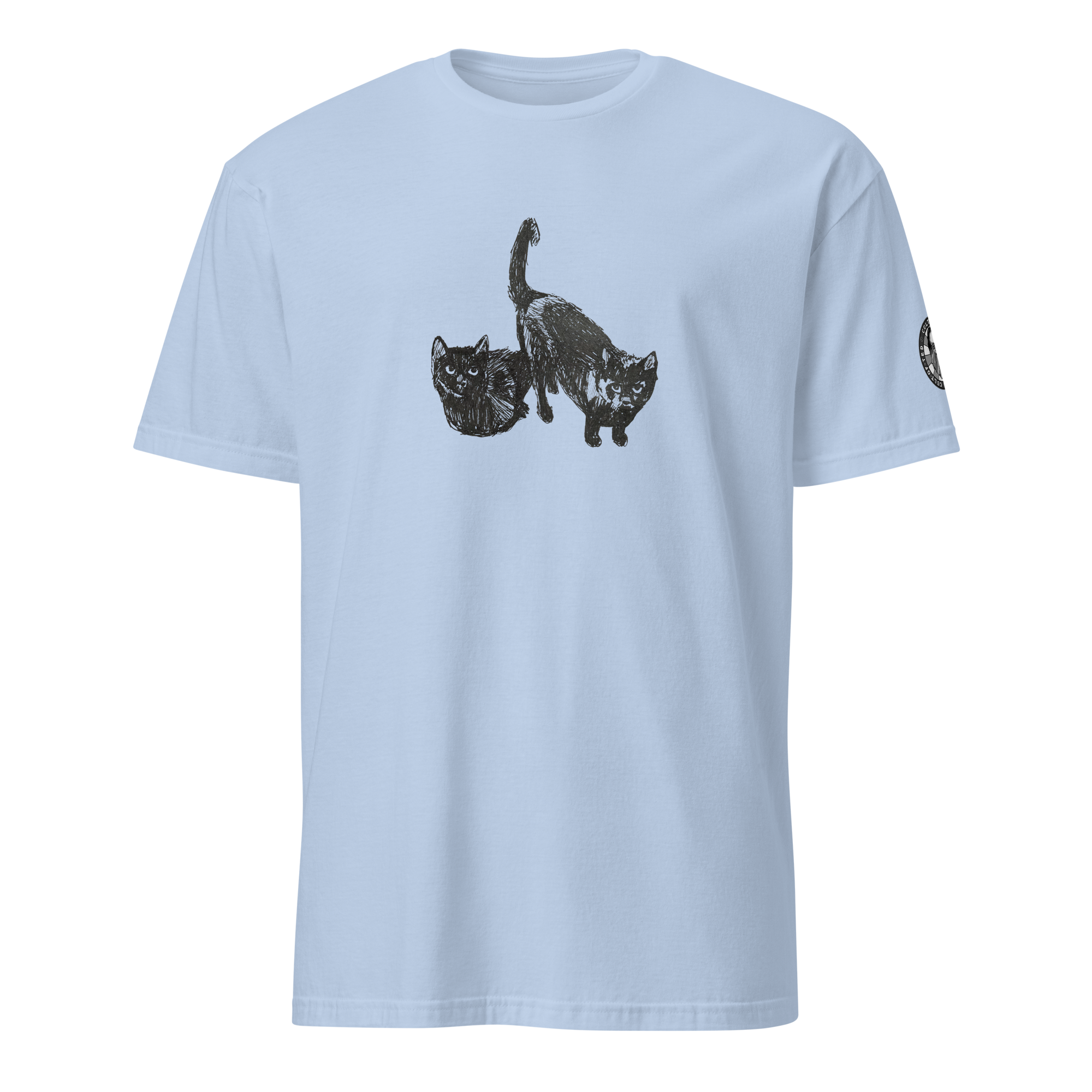 unisex-basic-softstyle-t-shirt-light-blue-front-6a82219c37476.png