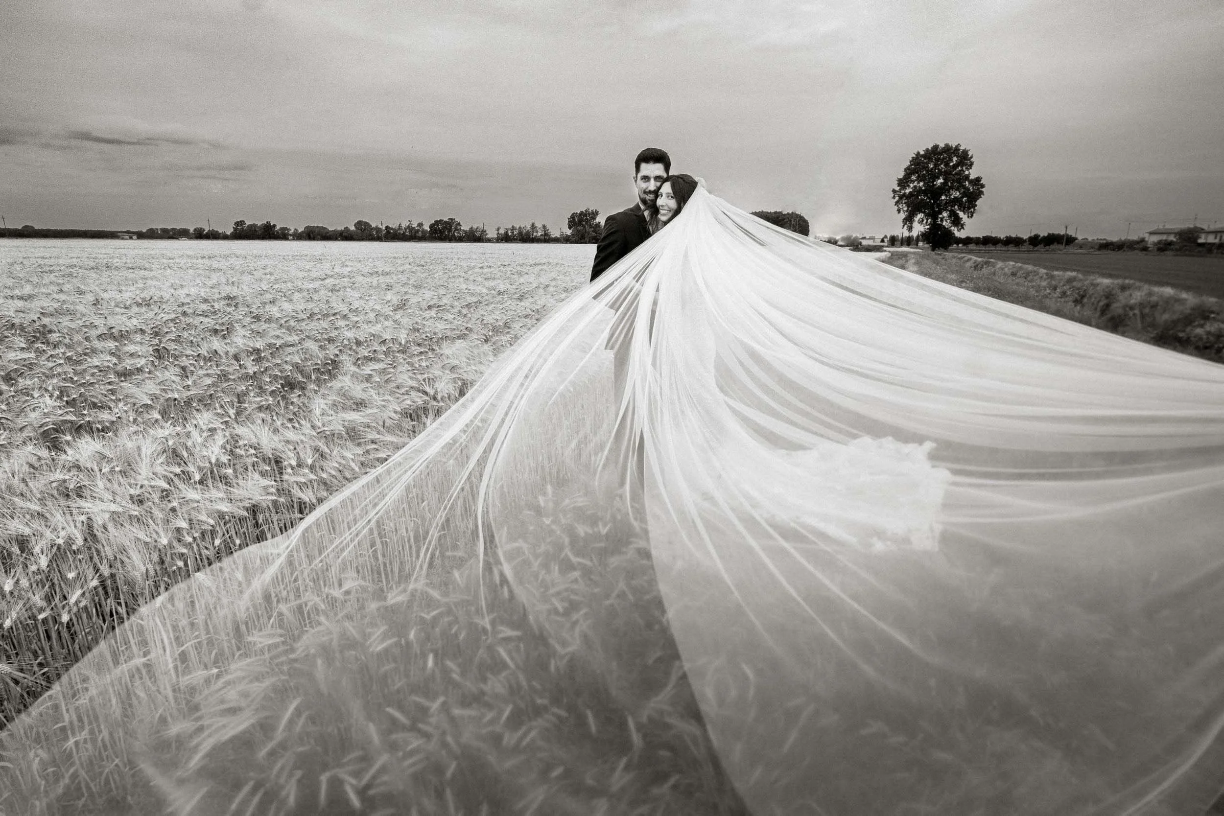 sposi in un campo di grano con velo al vento fotografo matrimonio buccinasco milano sud max capuzzi fotografo