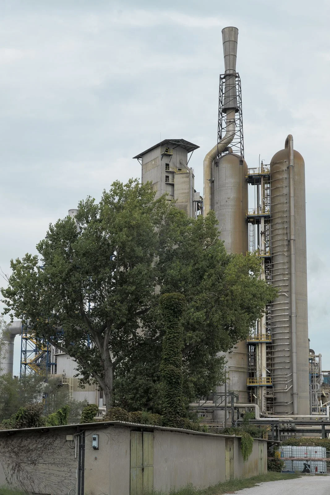 Torri industriali con scale e passerelle metalliche, parzialmente coperte dagli alberi in primo piano.