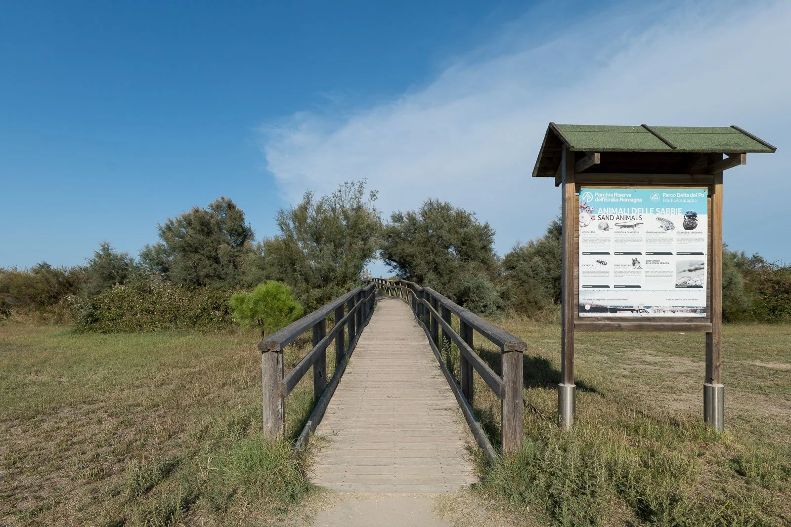 reportage-eni-ravenna-passerella-dune-pannello.jpg
