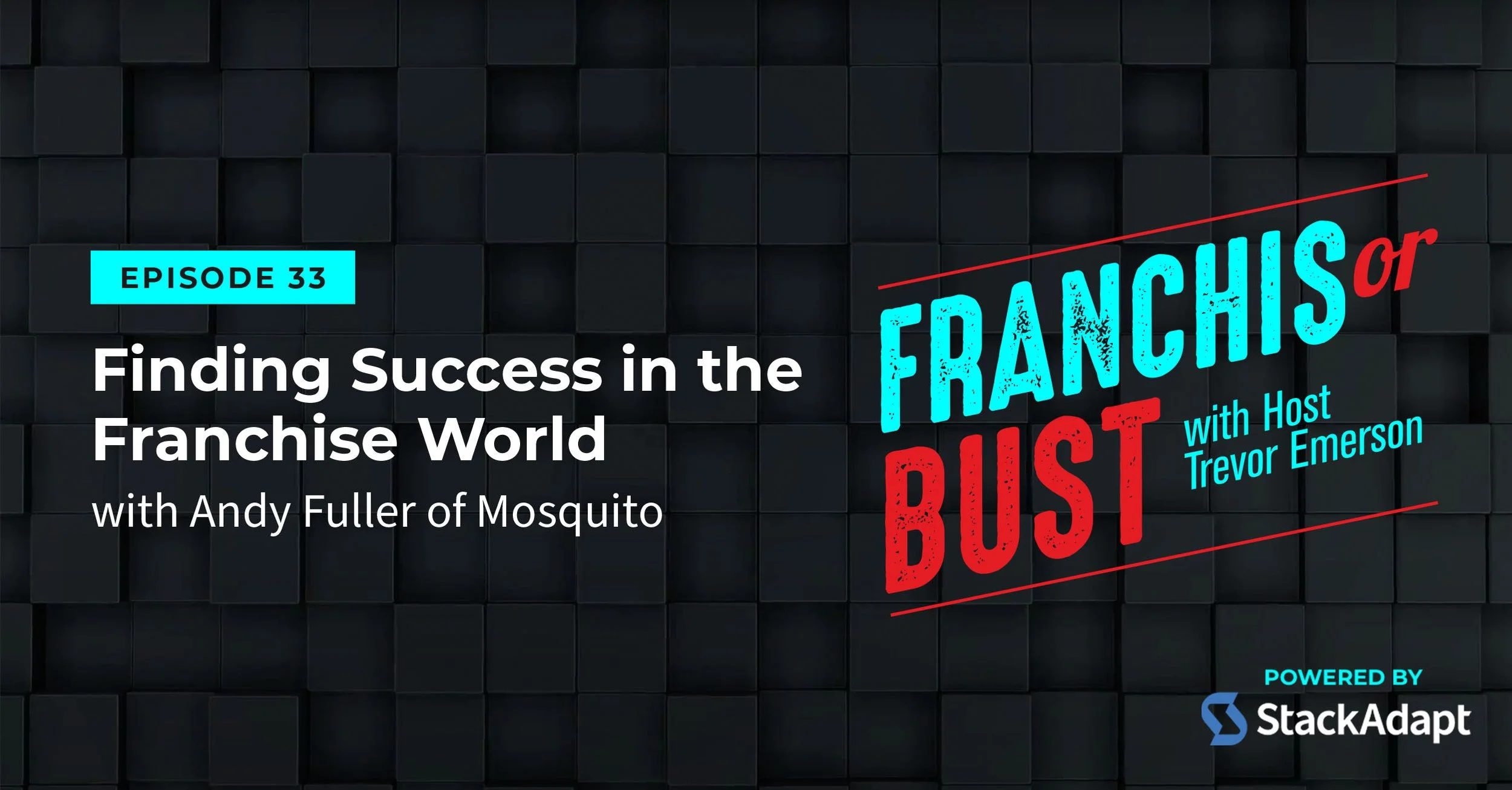 Finding Success in the Franchise World with Andy Fuller of Mosquito Hunters