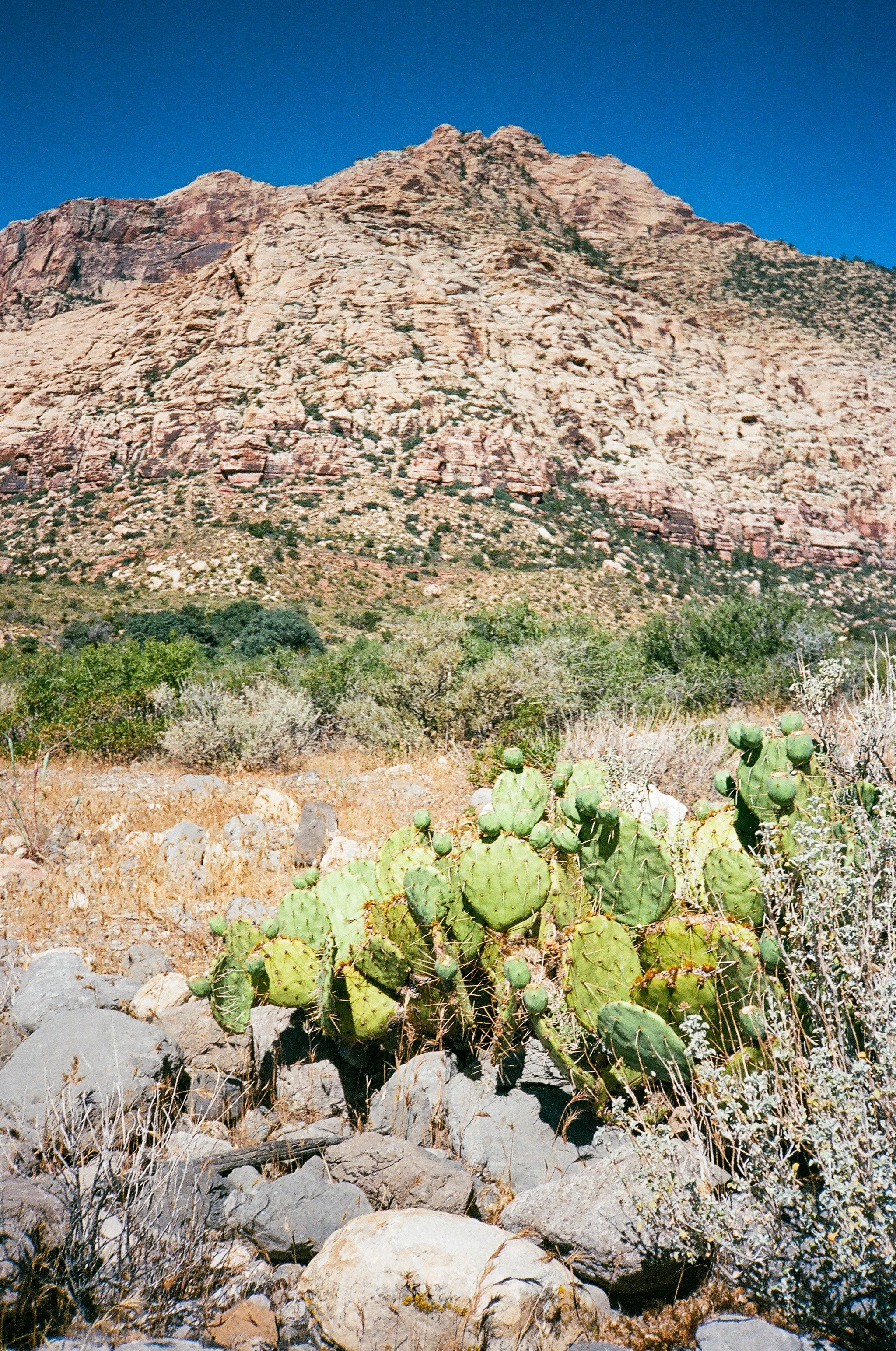 Red Rock Canyon, NV