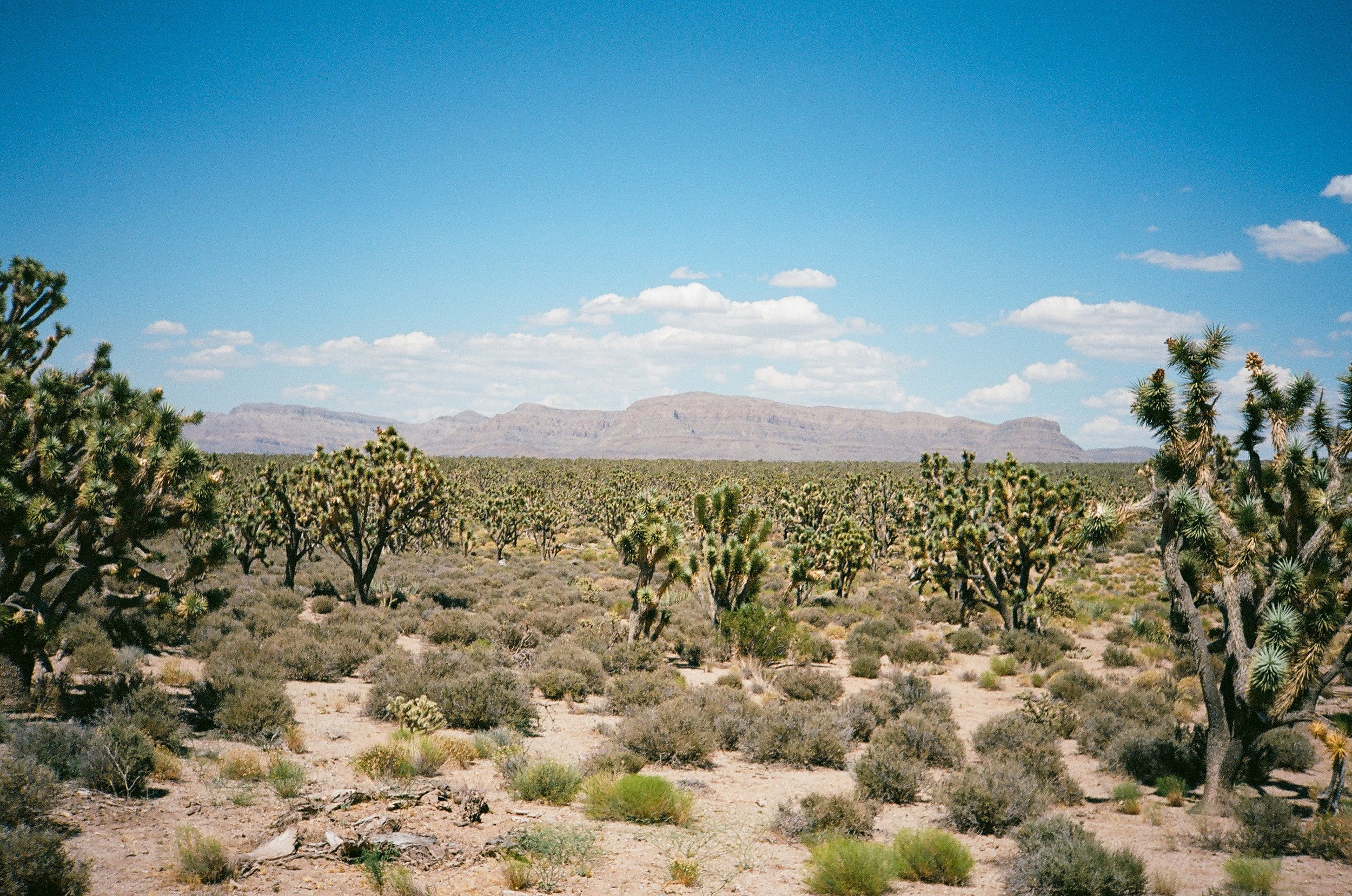 Journey to the Grand Canyon