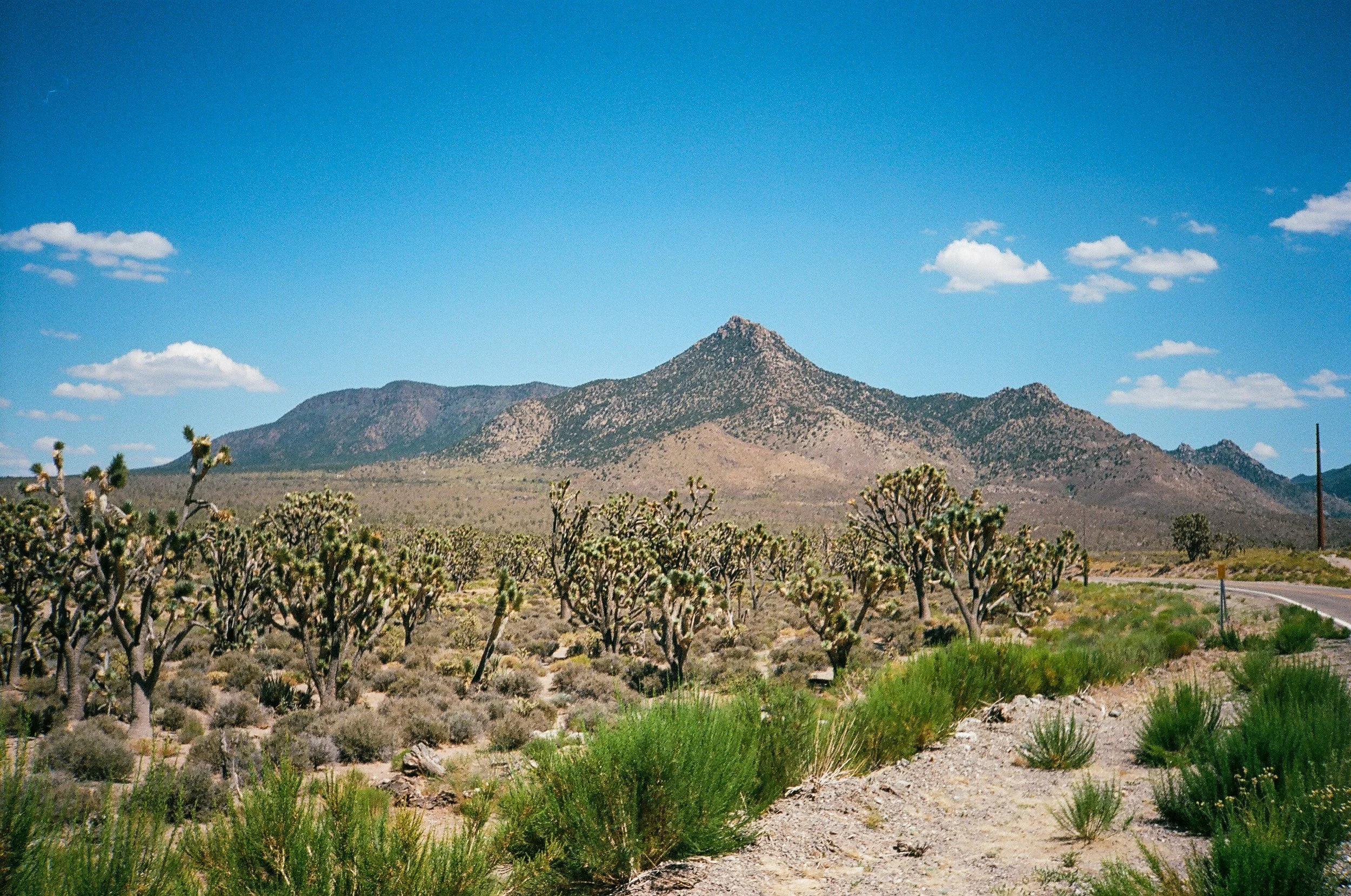 IMG_9622 2.JPG