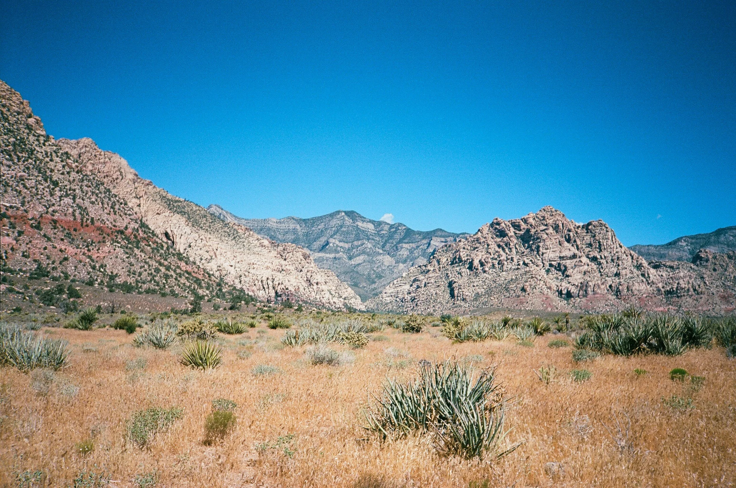 Red Rock Canyon, NV