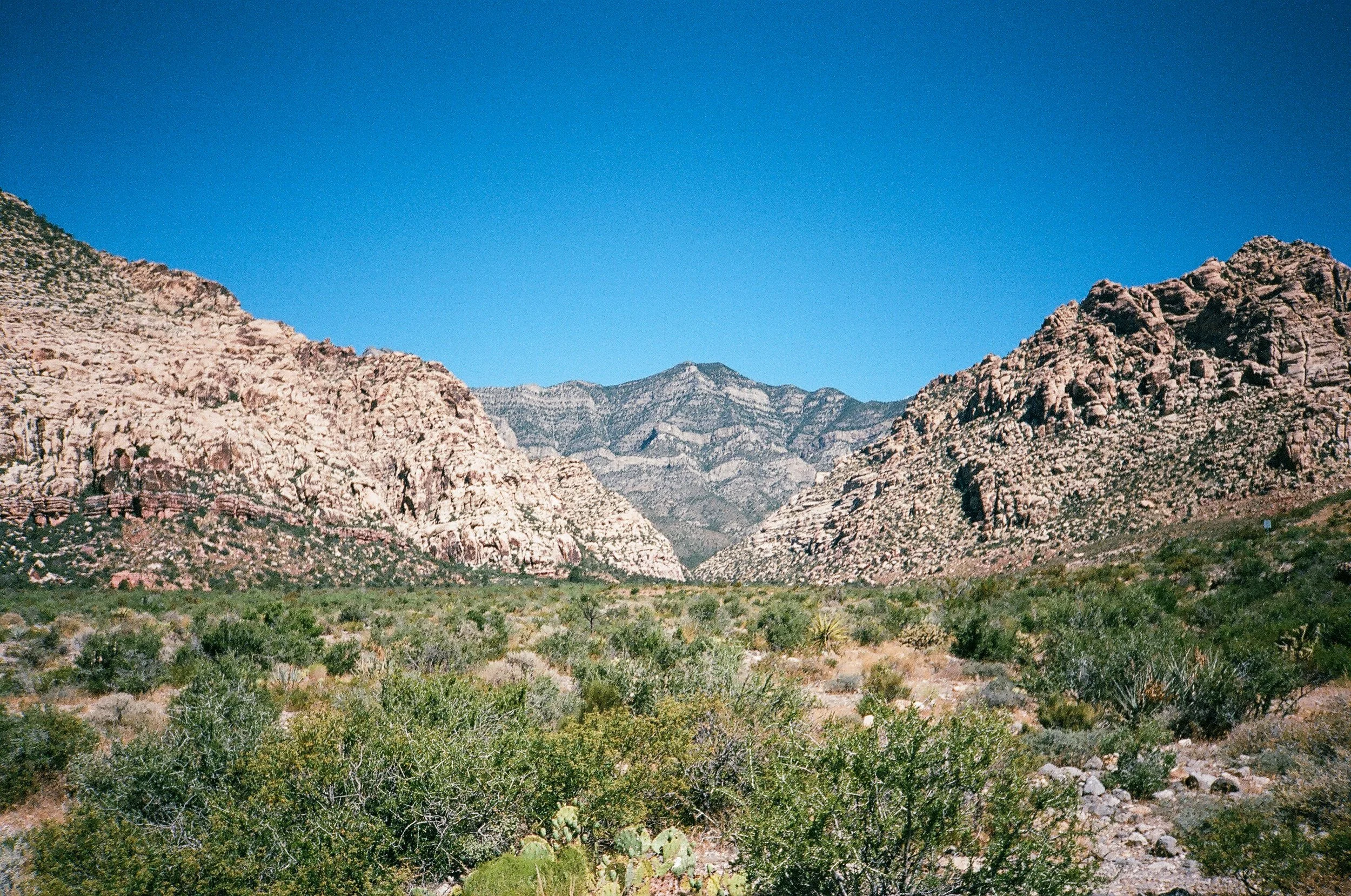 Red Rock Canyon, NV