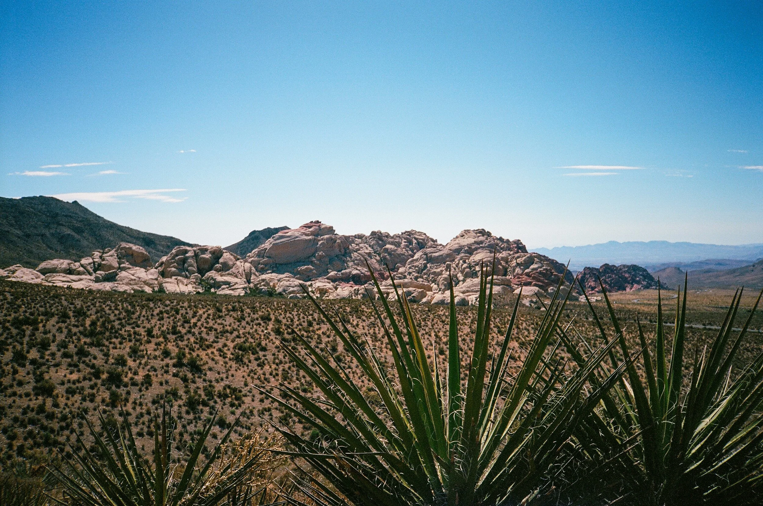 Red Rock Canyon, NV