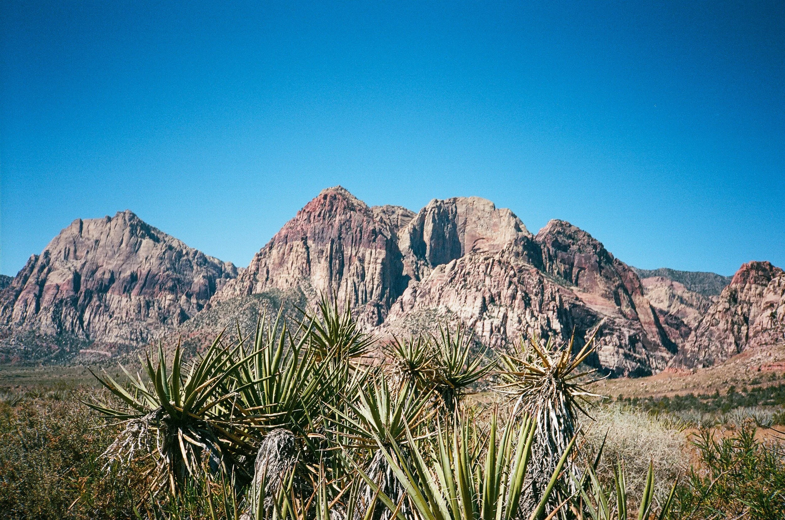 Red Rock Canyon, NV