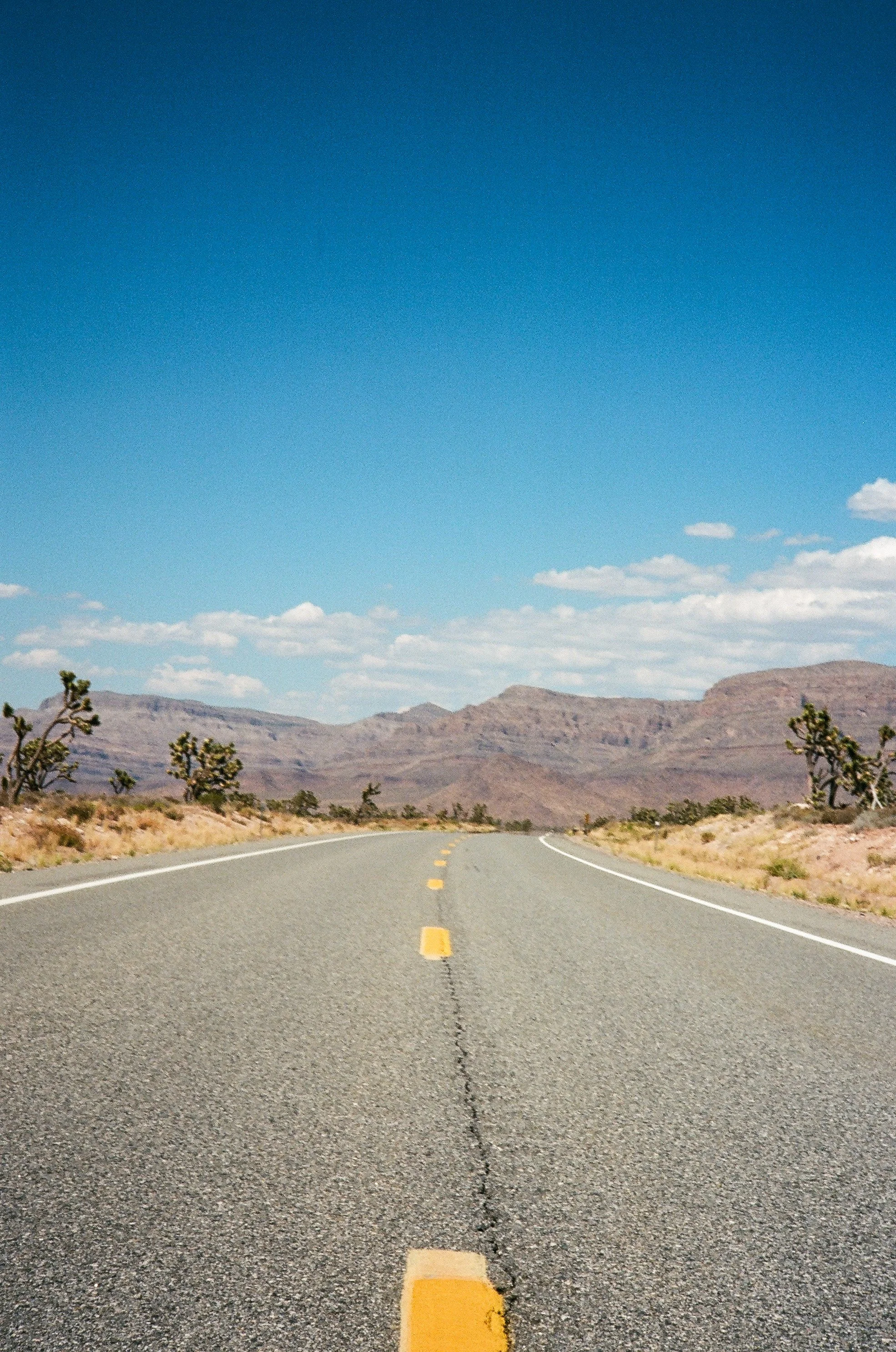 Journey to the Grand Canyon