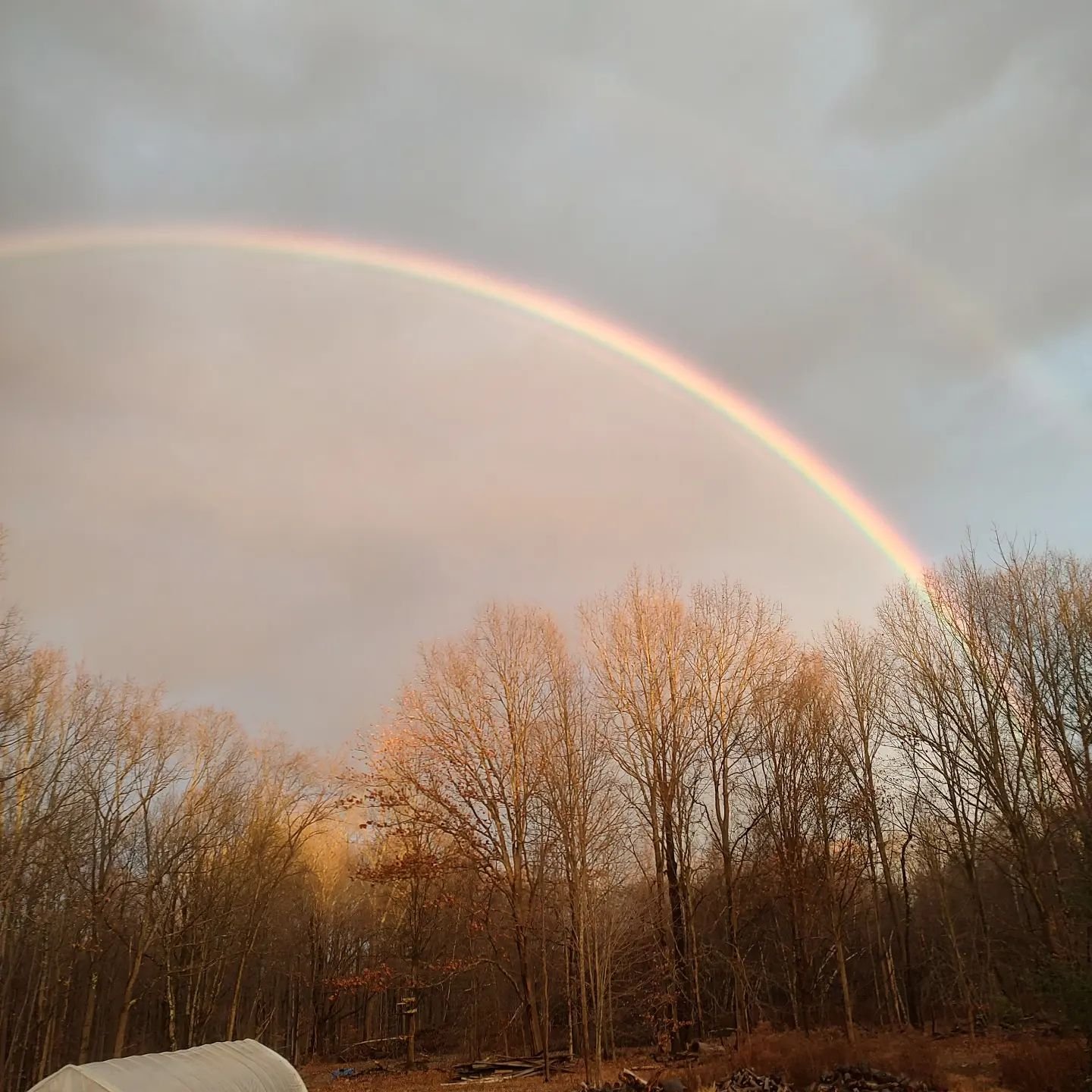 Pot of gold was somewhere in the sugar bush yesterday! Not only a double rainbow but the first one was so vibrant.

#nysmaple #maple #saratoga #saratogasprings #nyfarms #farmer #outdoors #518foodbloogers 
.
🍁 Follow us to learn more about maple!
.
 