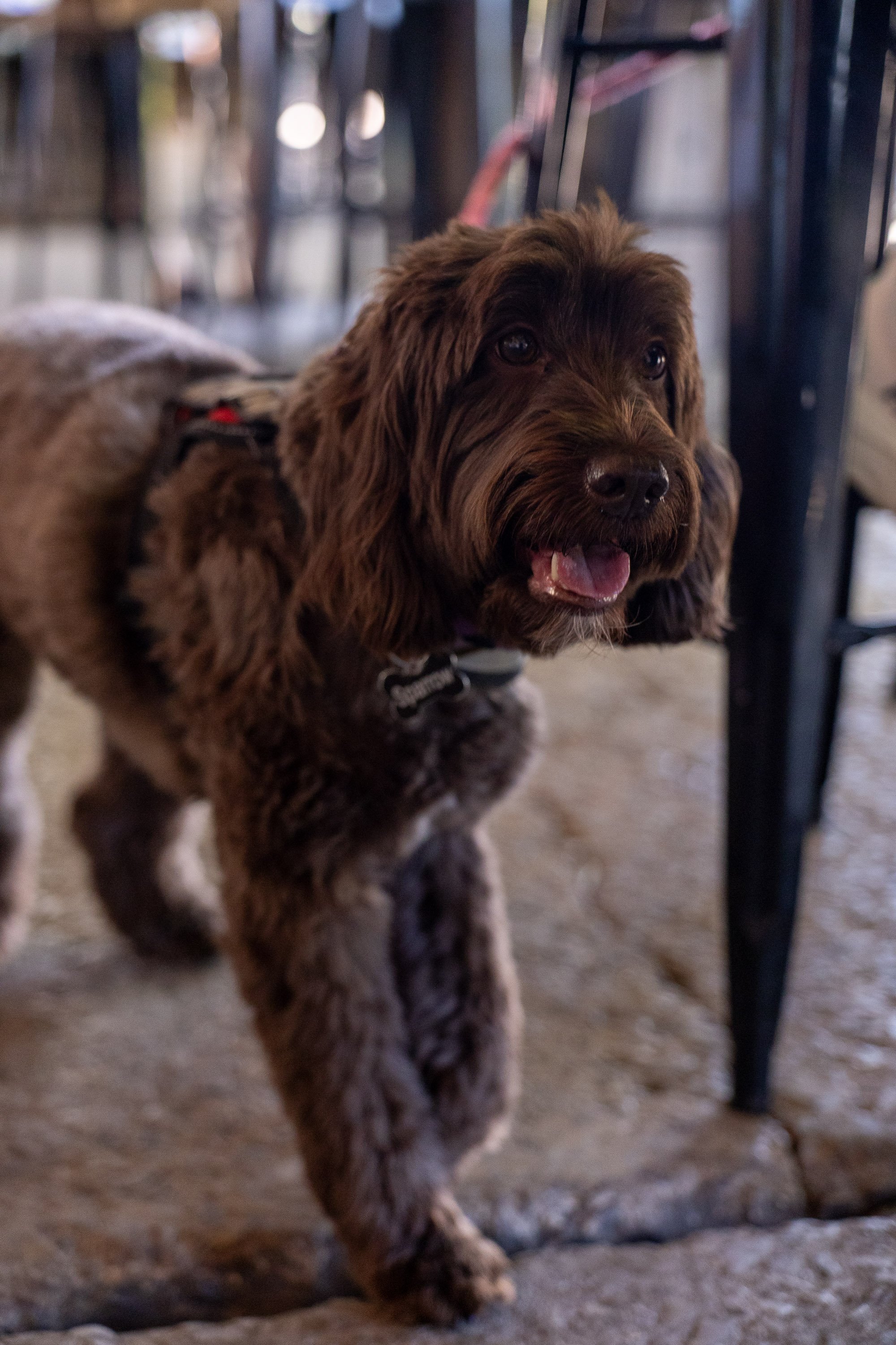 RunRideRumble26CareyOnPhoto-78.jpg