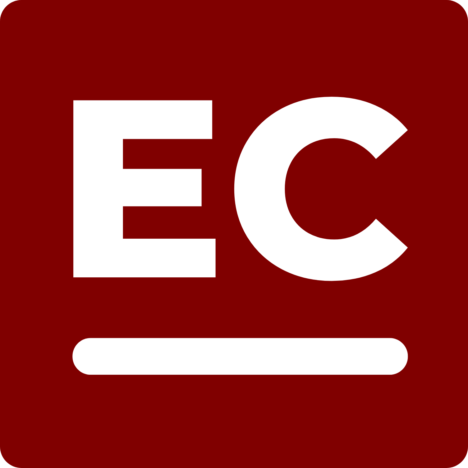 DEI Roundtable