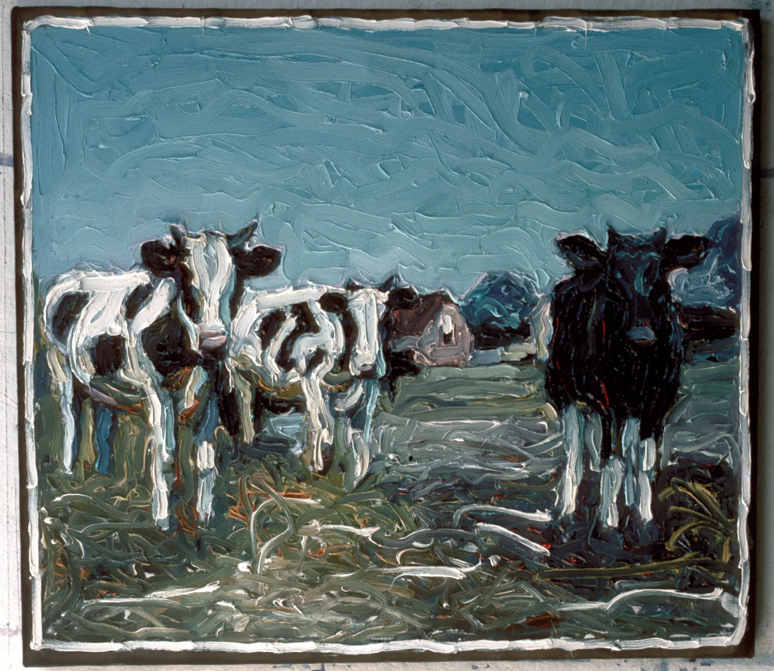 Rollman's Cows #1  20" x 22"