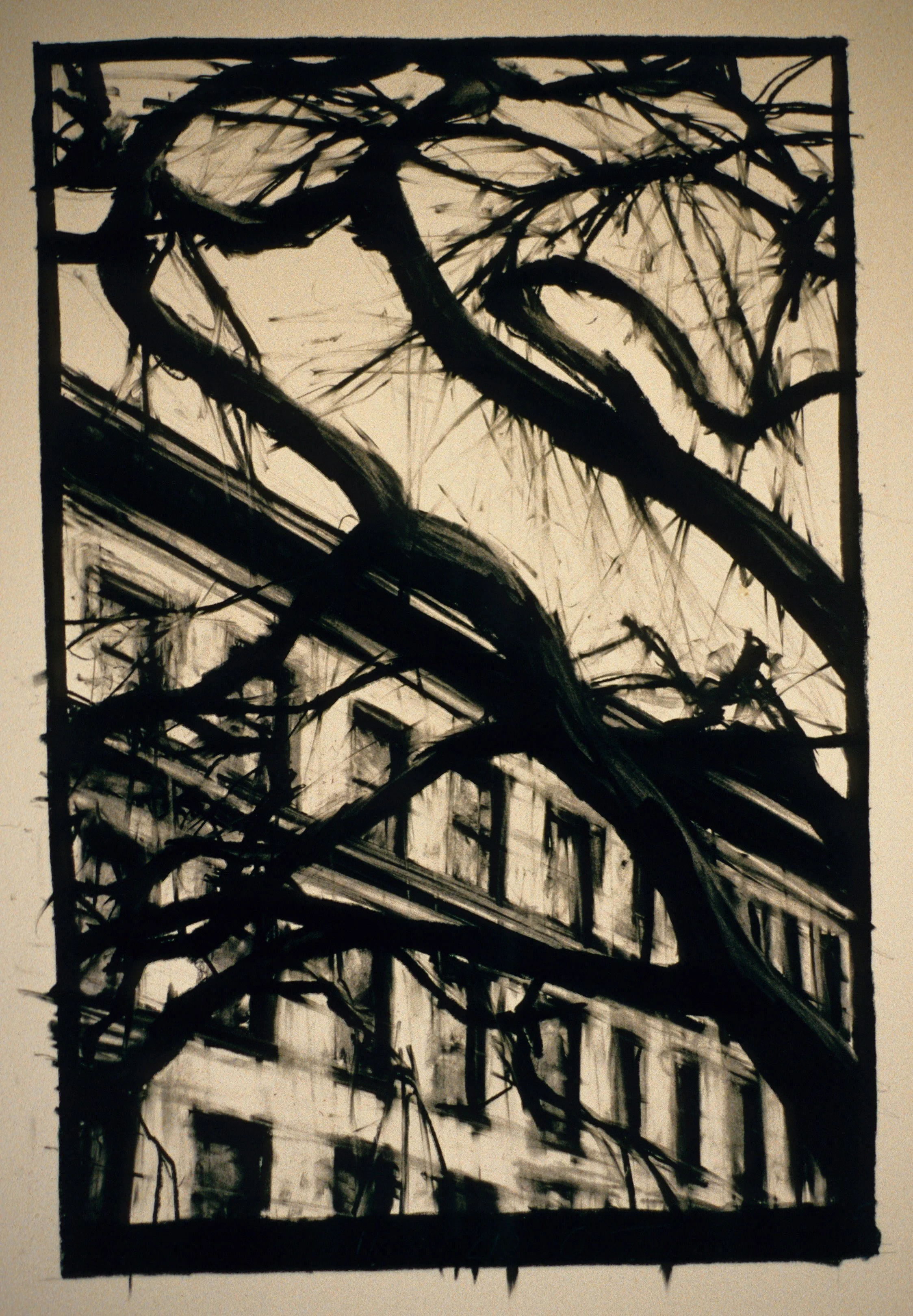 Oak Tree With White Building  22" x 30"