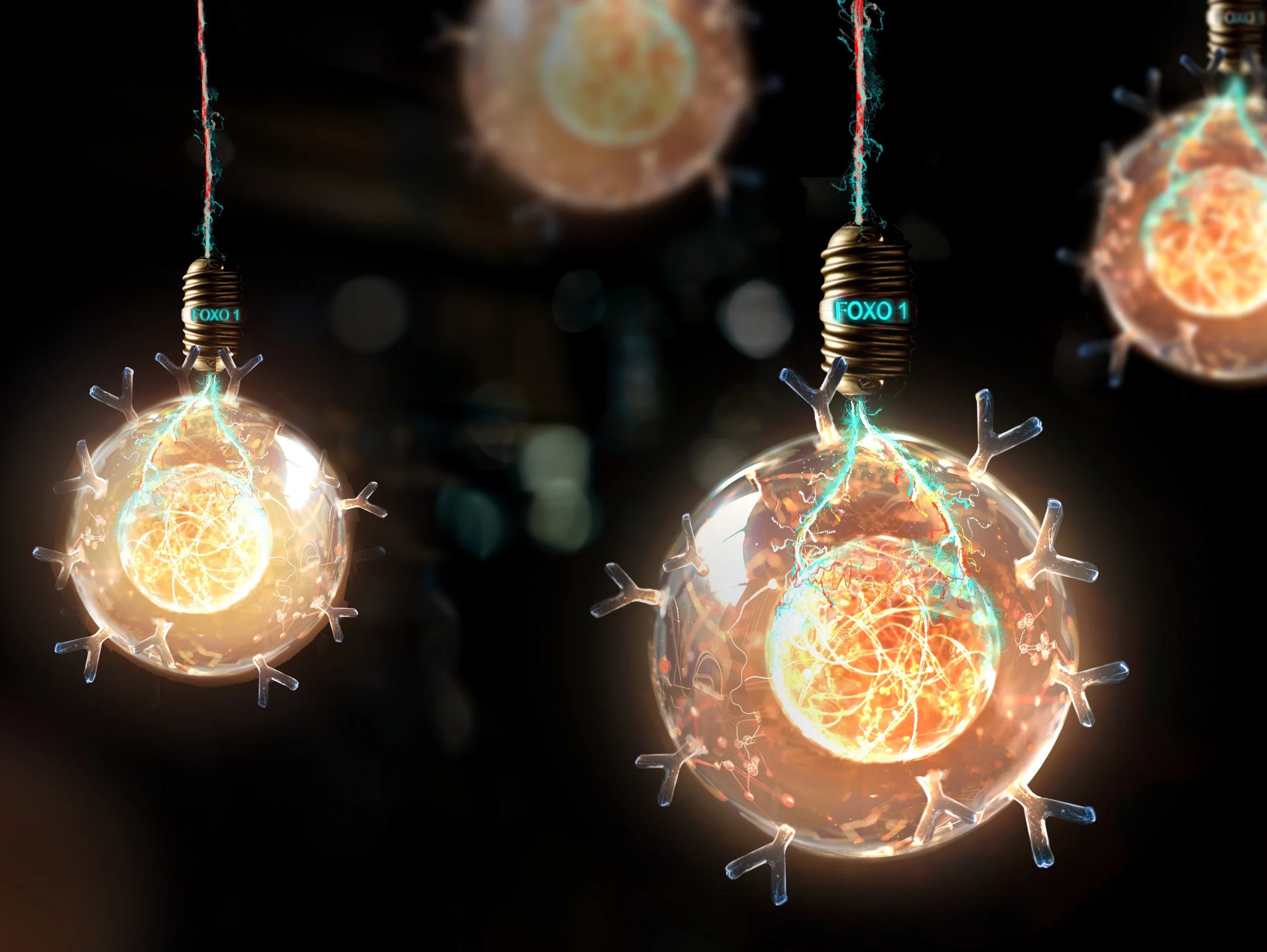 foxo def_19.03_00.jpeg