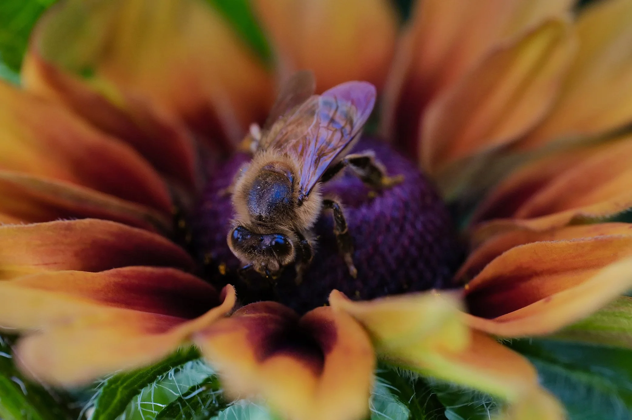 So Bright Ya Gotta Wear Shades