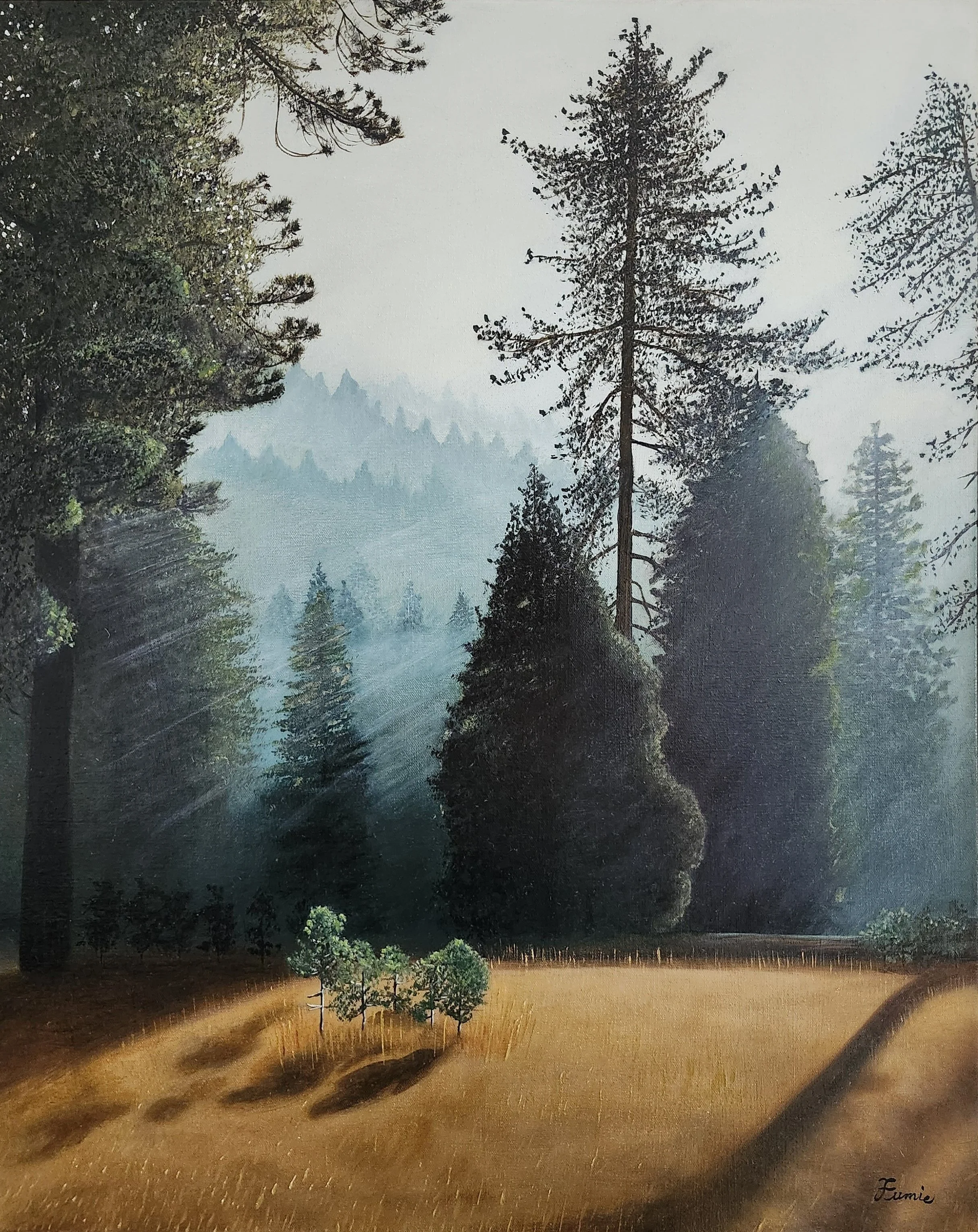 7:00 am in Sequoia