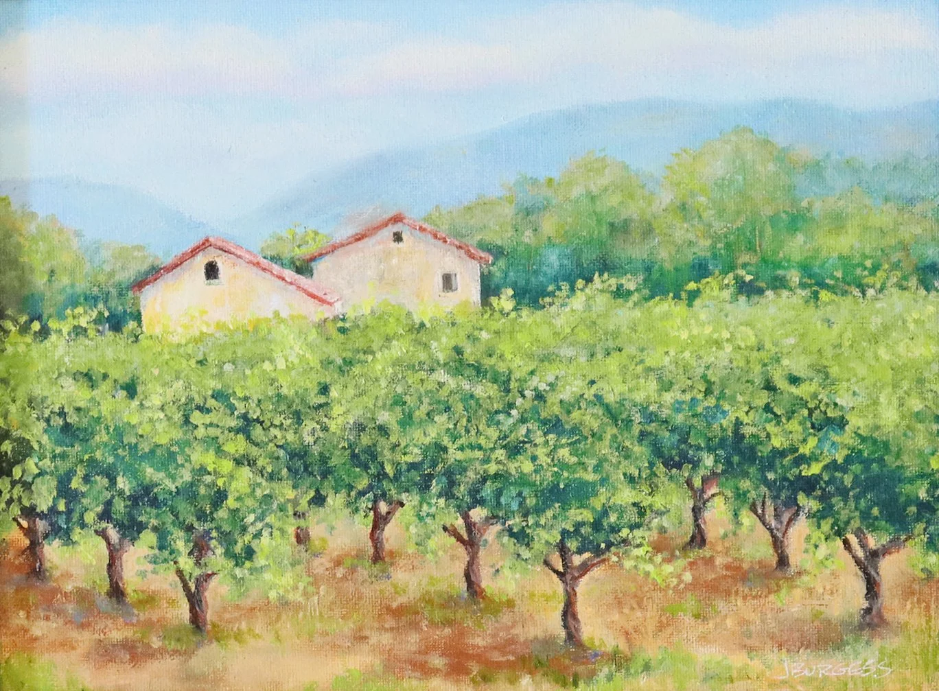 Hillside Vineyard